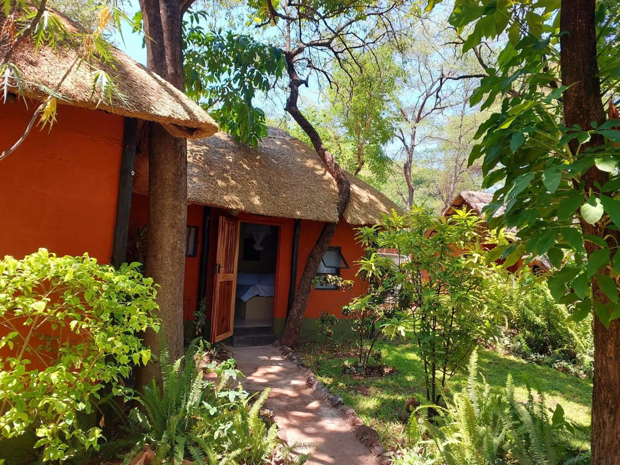 Property building in Victoria Falls Backpackers Lodge
