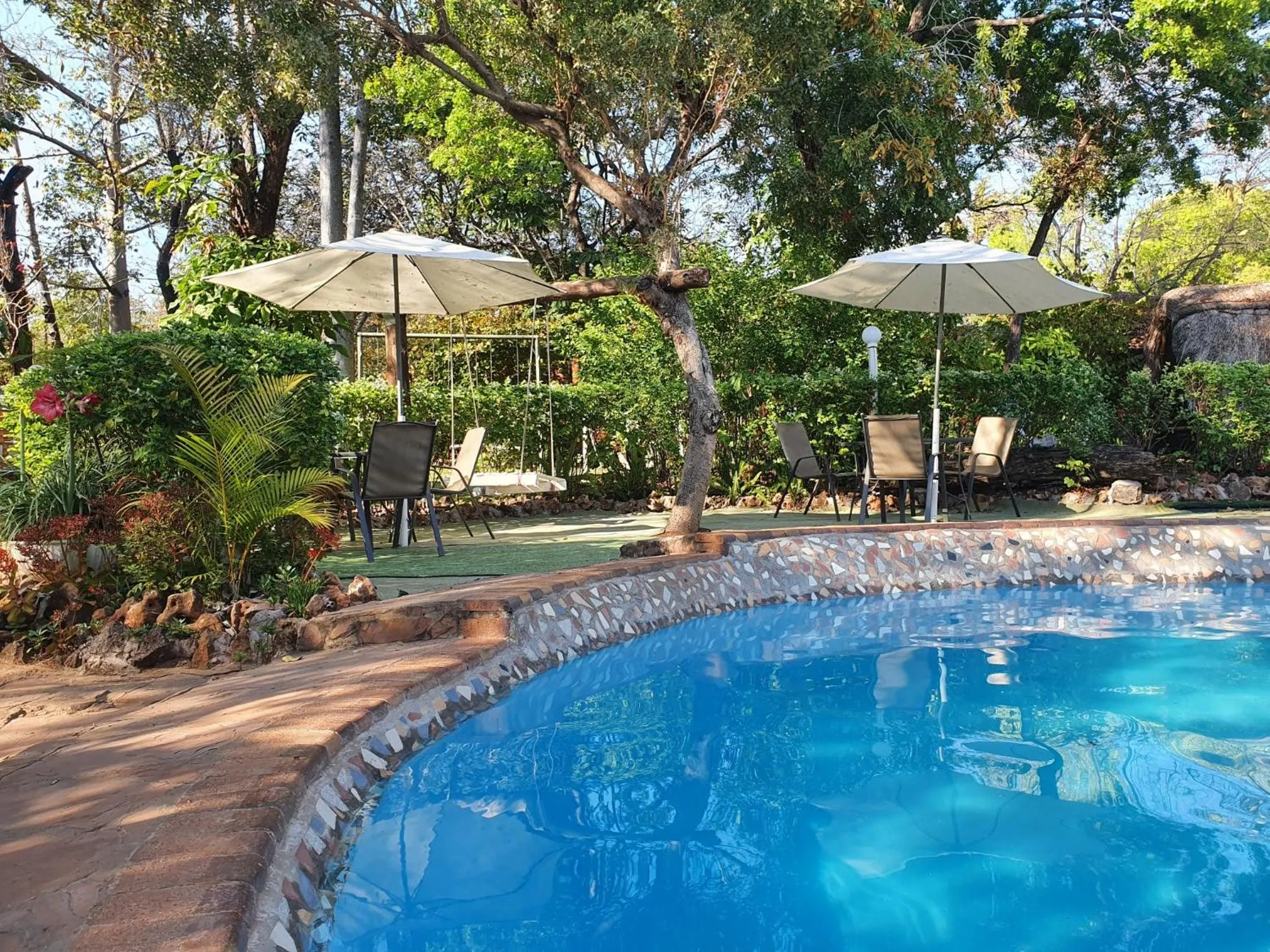 Pool view in Victoria Falls Backpackers Lodge