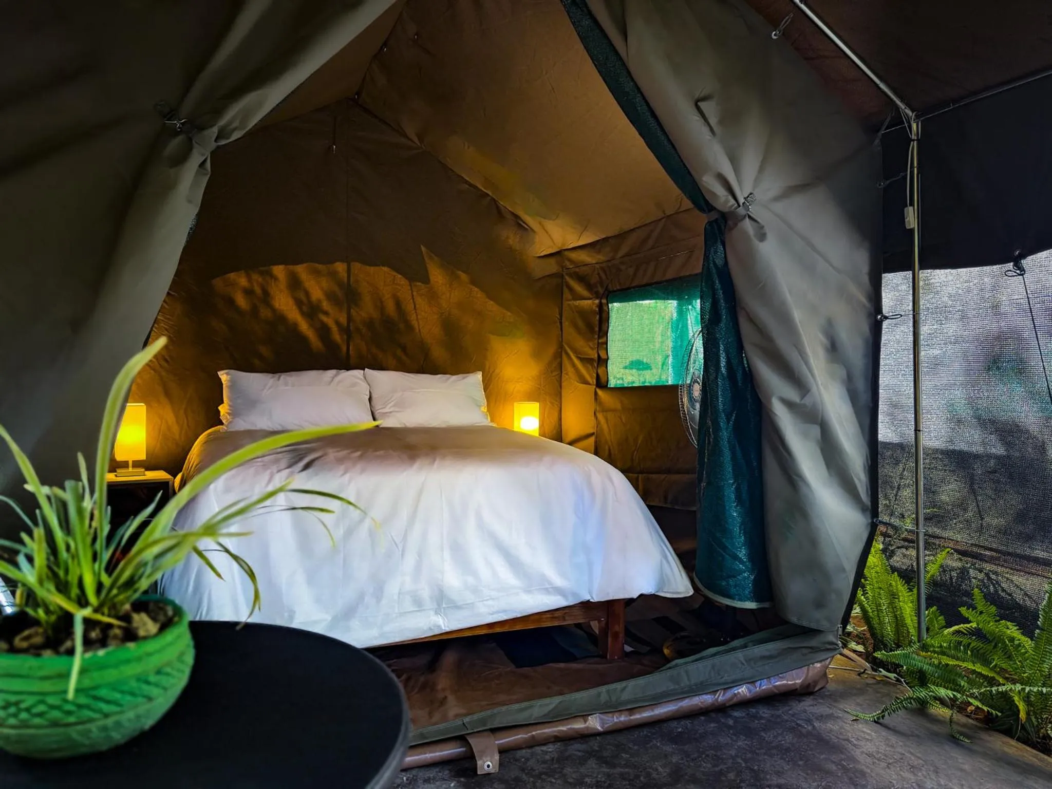 Bed in Victoria Falls Backpackers Lodge