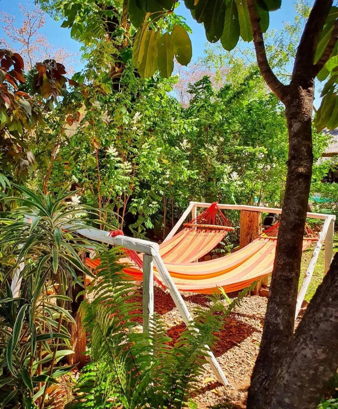 Spa and wellness centre/facilities in Victoria Falls Backpackers Lodge