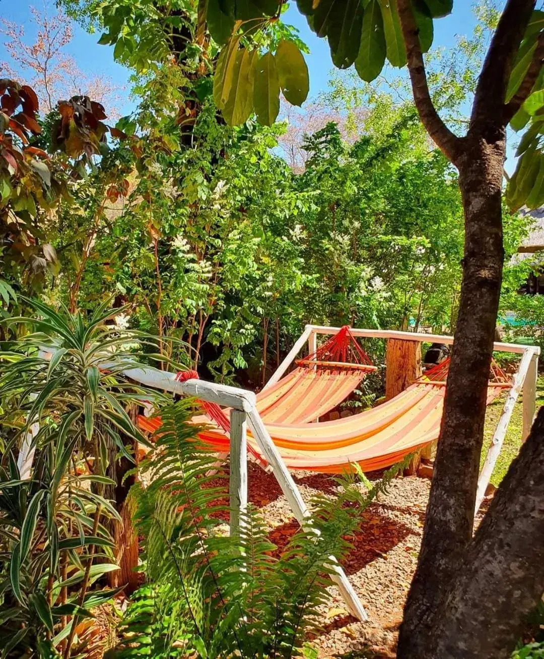 Spa and wellness centre/facilities in Victoria Falls Backpackers Lodge Spa and wellness centre/facilities in Victoria Falls Backpackers Lodge