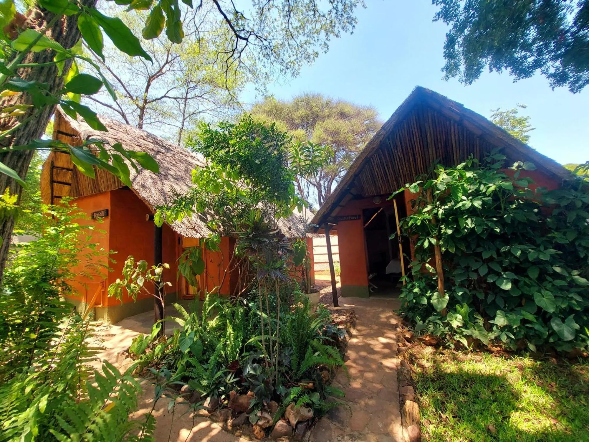 Property building in Victoria Falls Backpackers Lodge