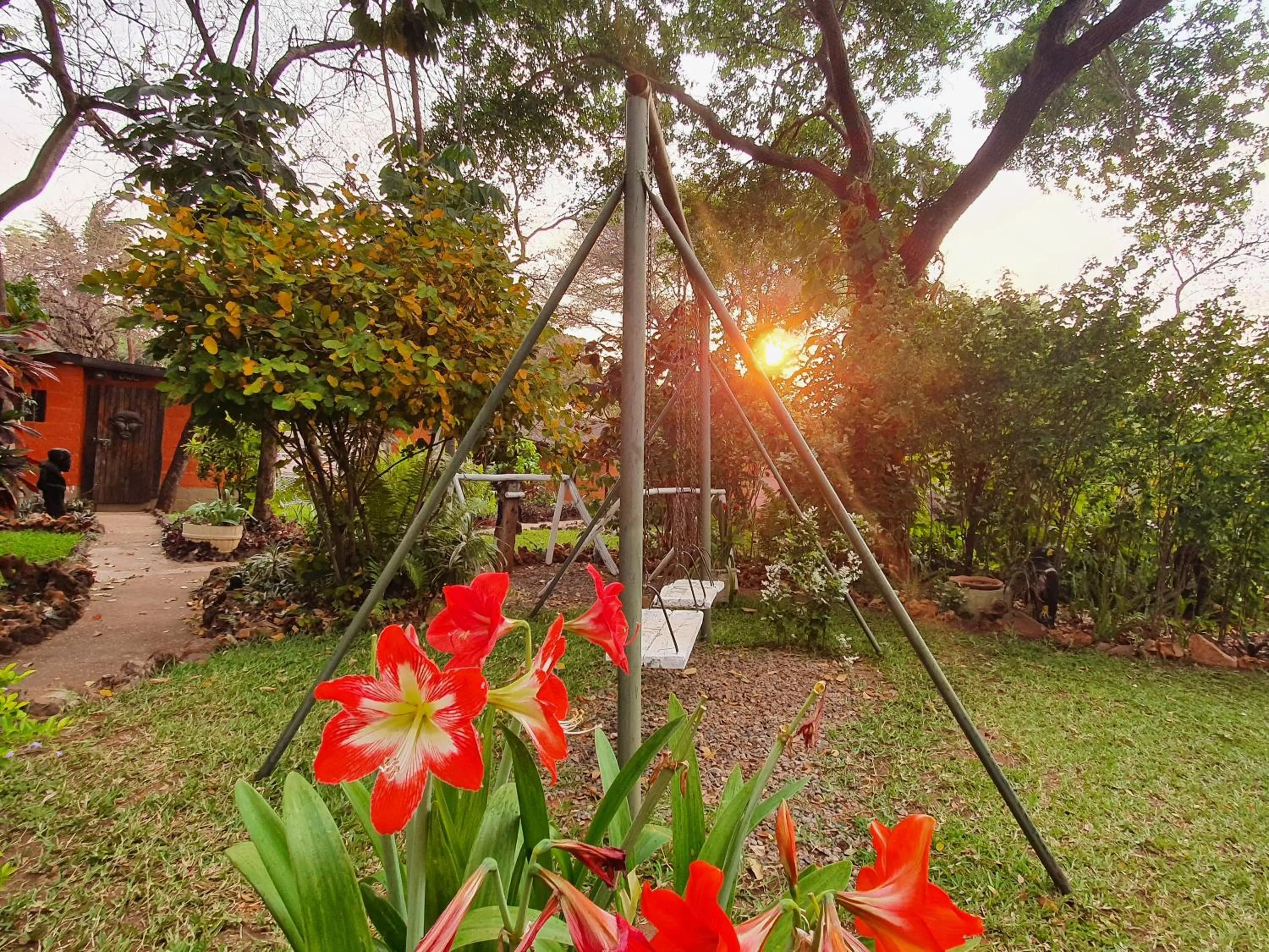 Swimming pool in Victoria Falls Backpackers Lodge