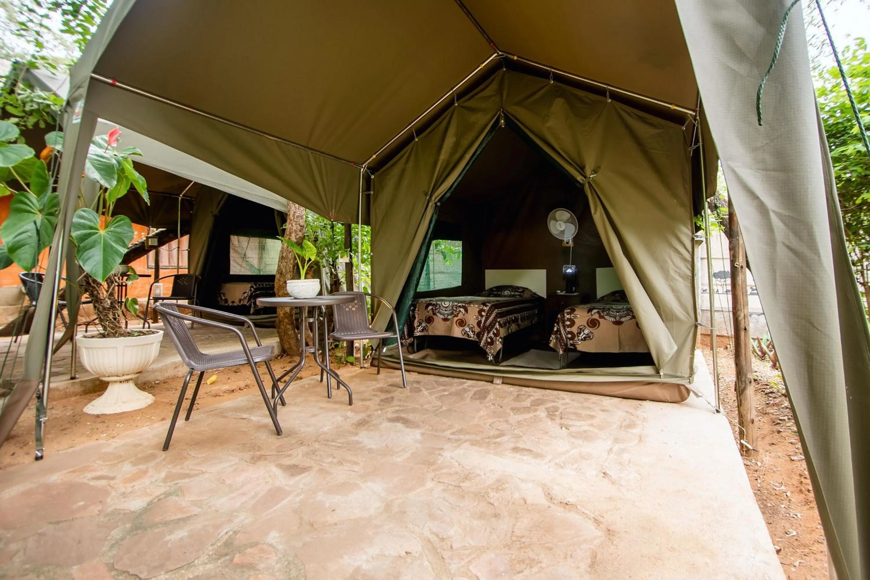 Garden view in Victoria Falls Backpackers Lodge