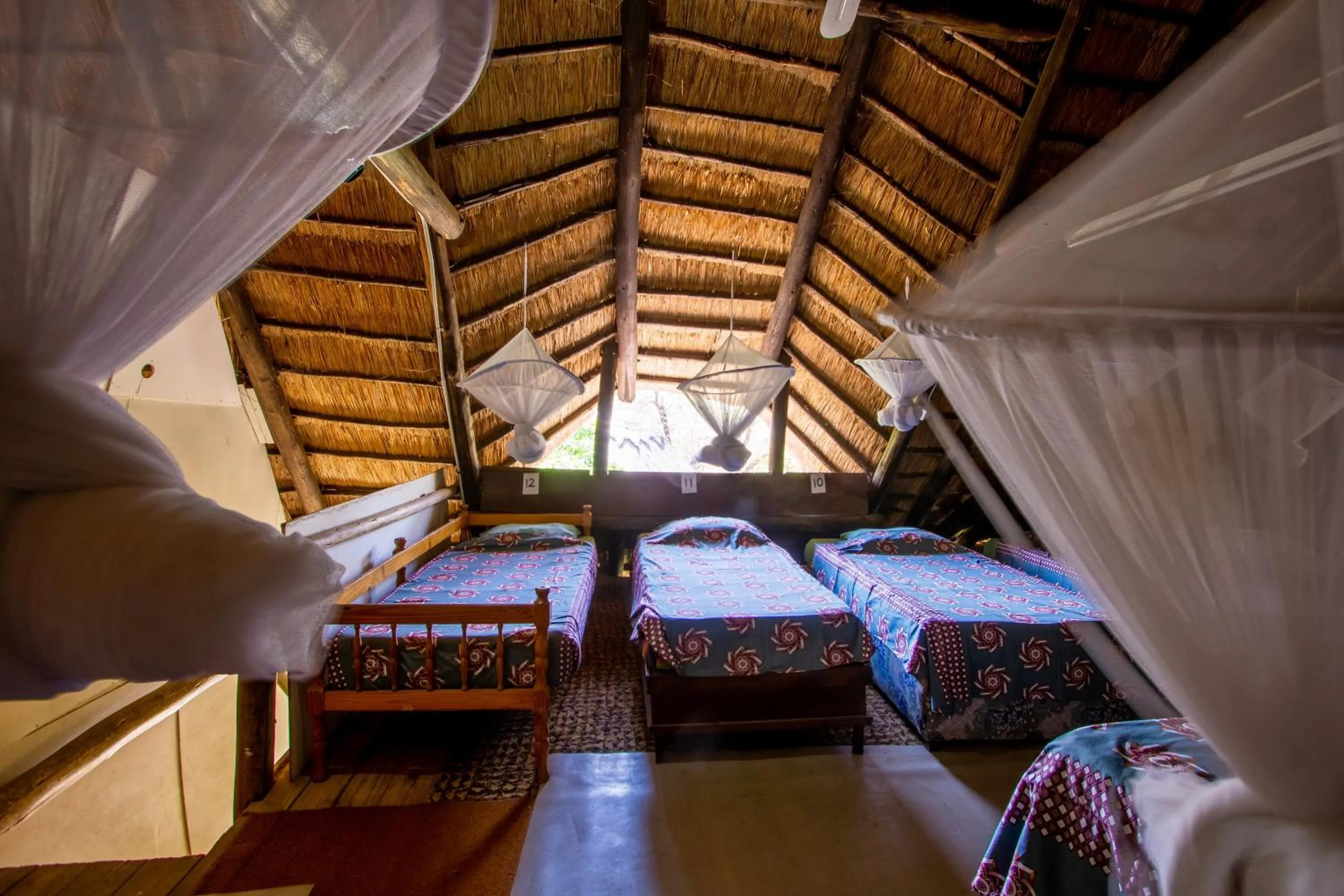 Bed in Victoria Falls Backpackers Lodge