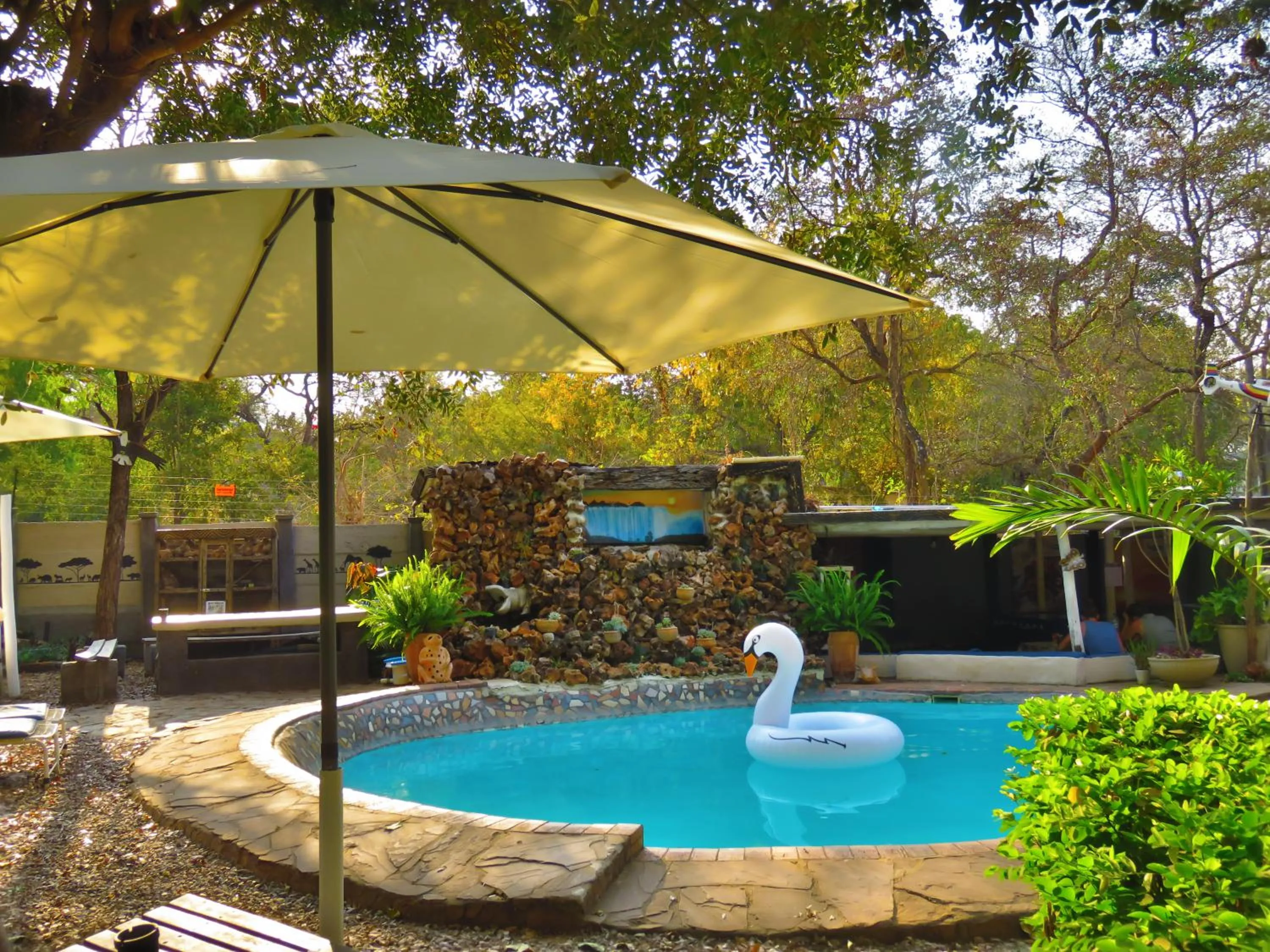 Swimming pool in Victoria Falls Backpackers Lodge