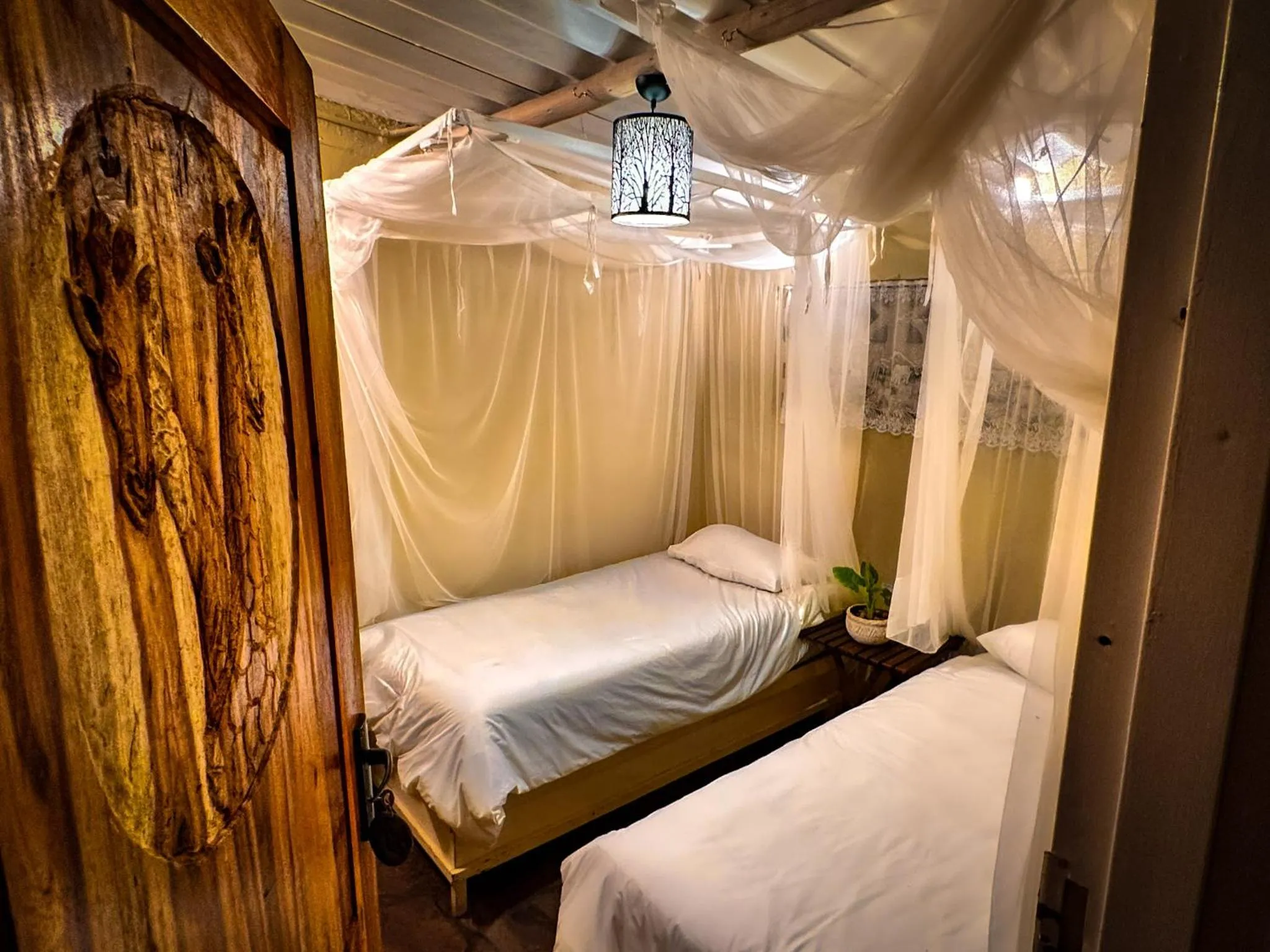 Property building, Bed in Victoria Falls Backpackers Lodge