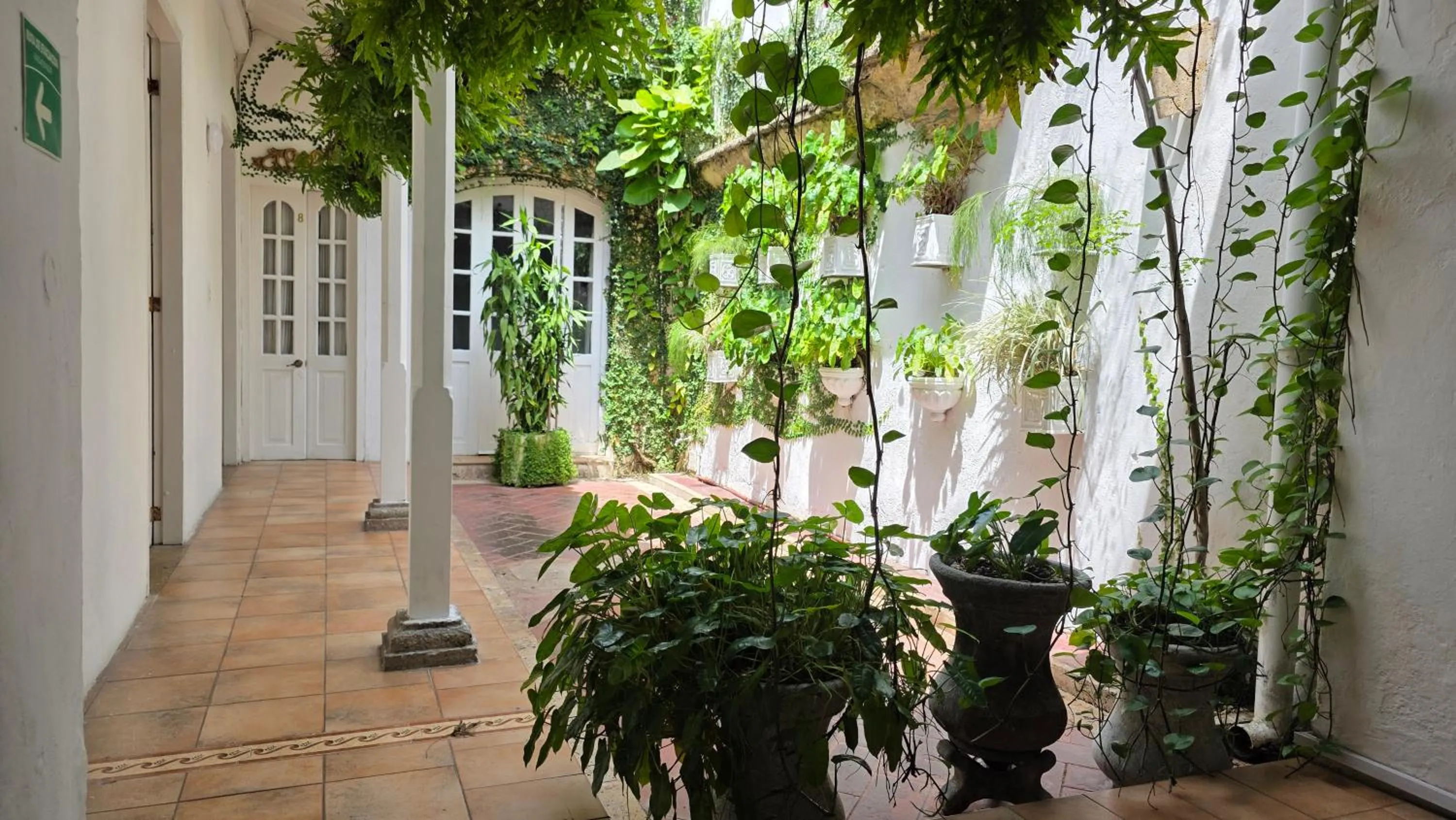 Garden in Hotel Casa la Tablada
