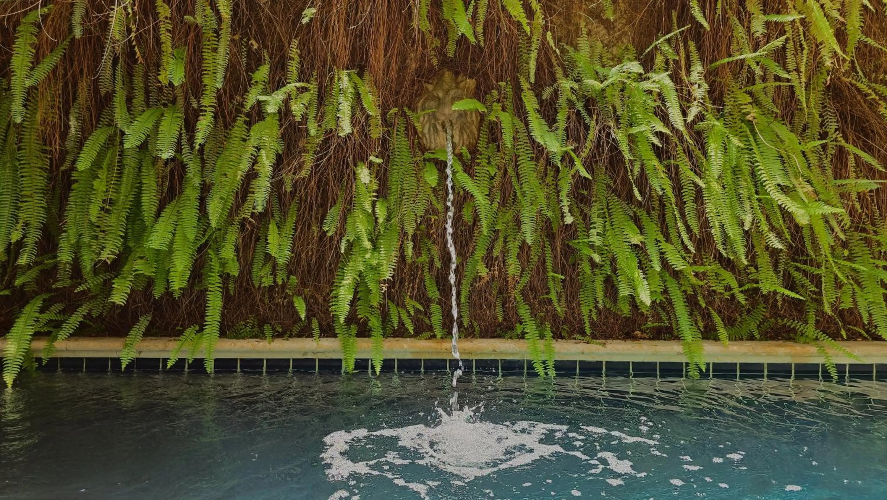 Property building in Hotel Casa la Tablada