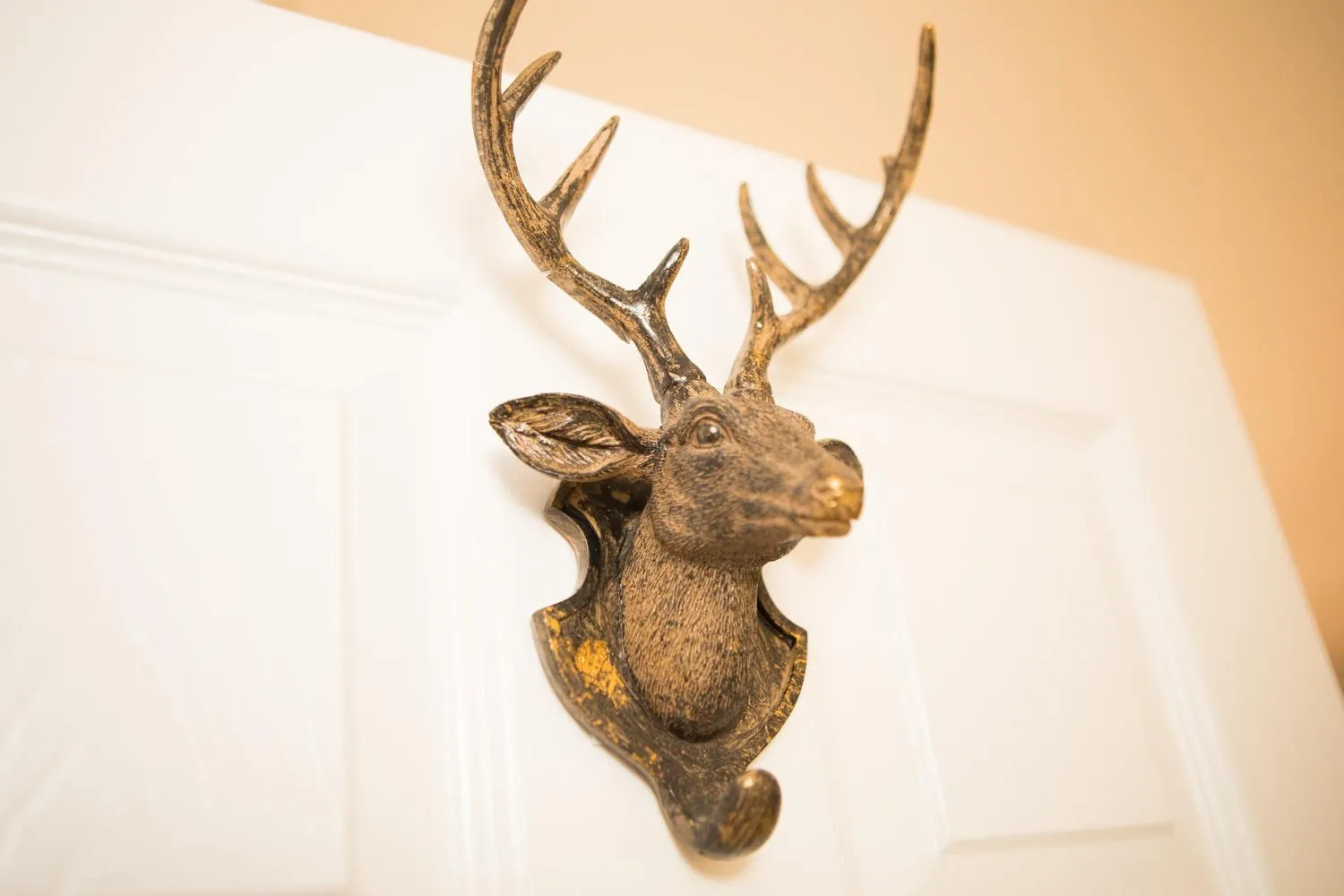Decorative detail in JustB Edinburgh