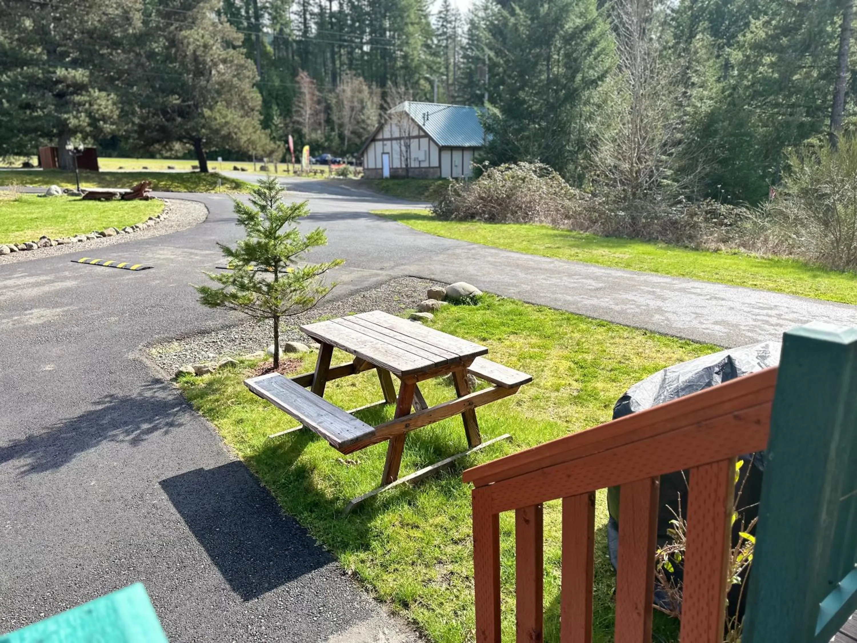 BBQ facilities in Packwood Lodge & Cabins