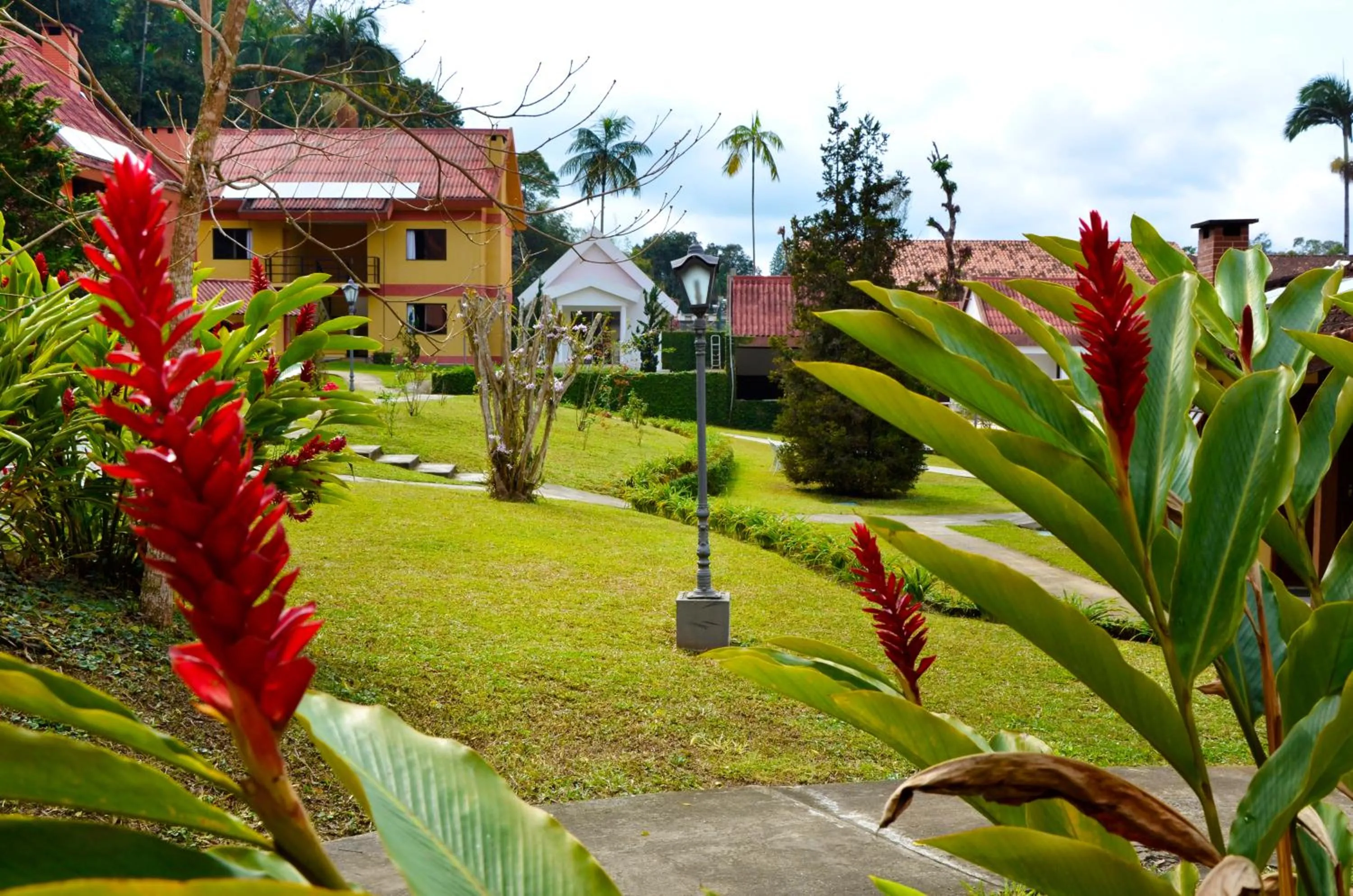 Hotel Girassol