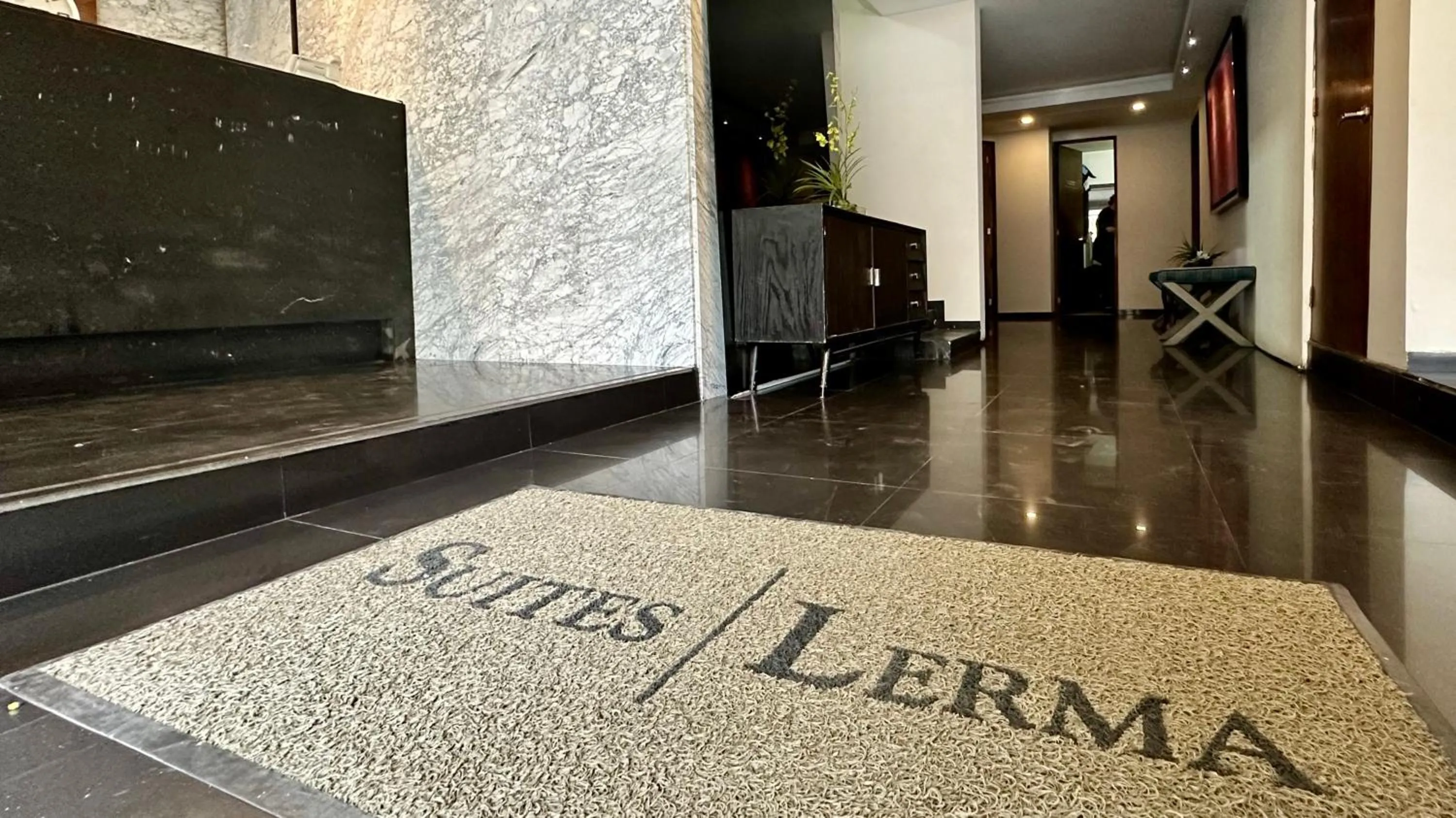 Lobby or reception in Suites Lerma 205