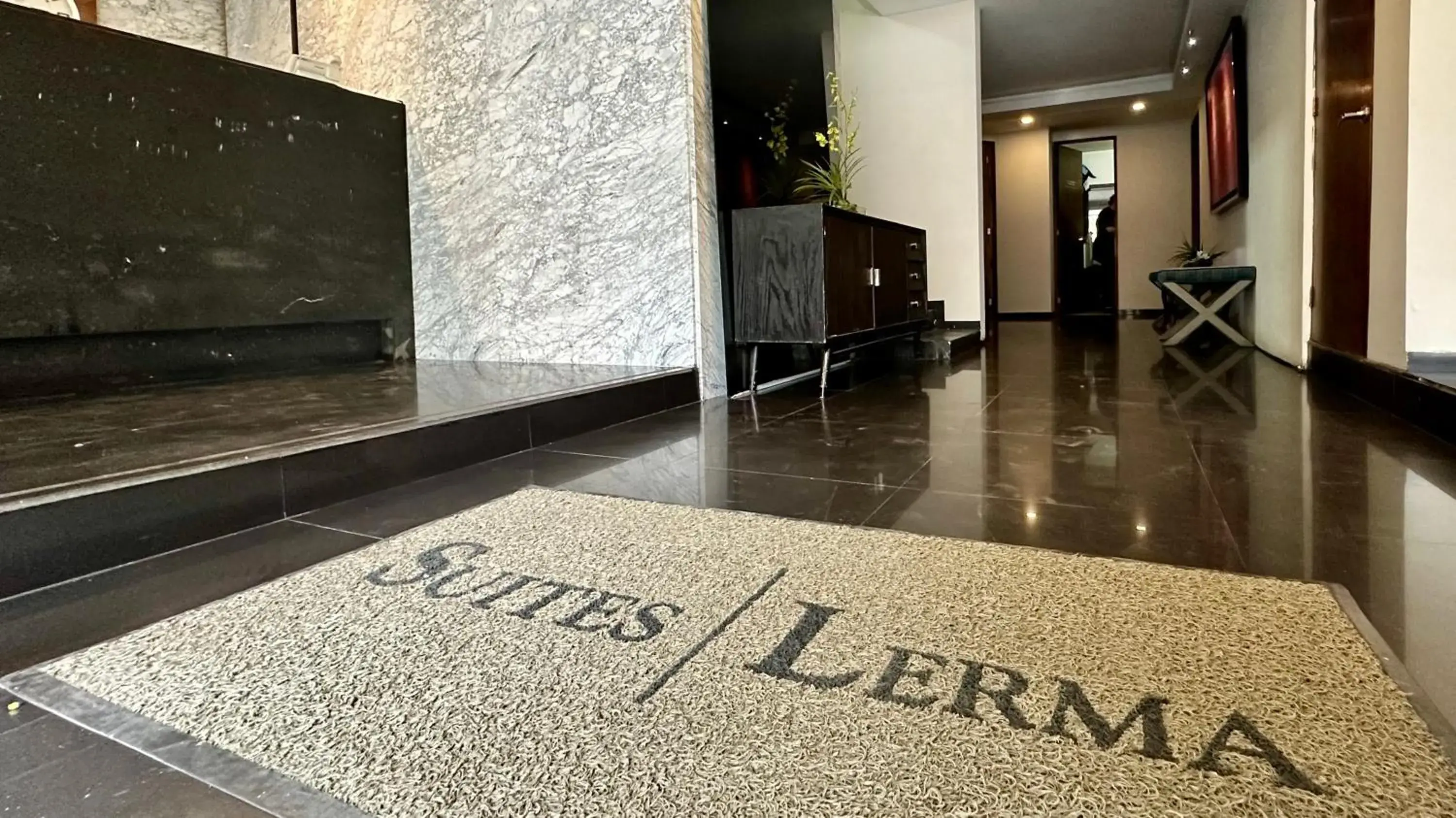 Lobby or reception in Suites Lerma 205 Lobby or reception in Suites Lerma 205