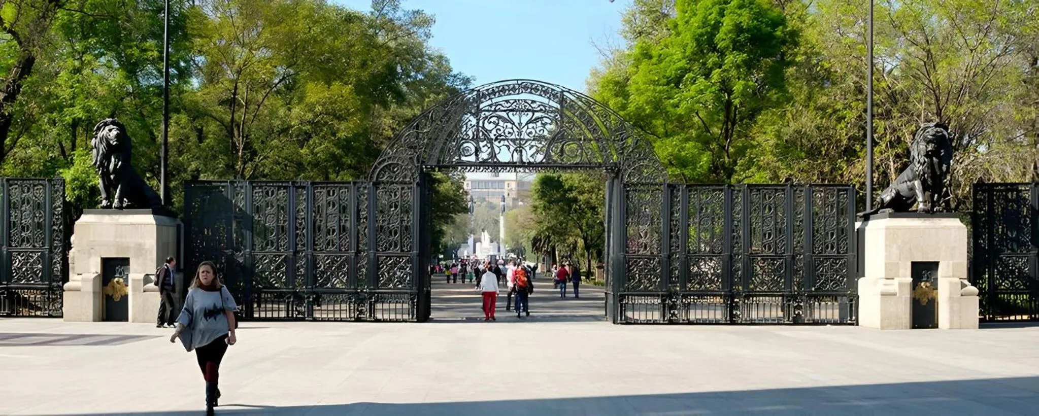 Entertainment in Suites Lerma 205