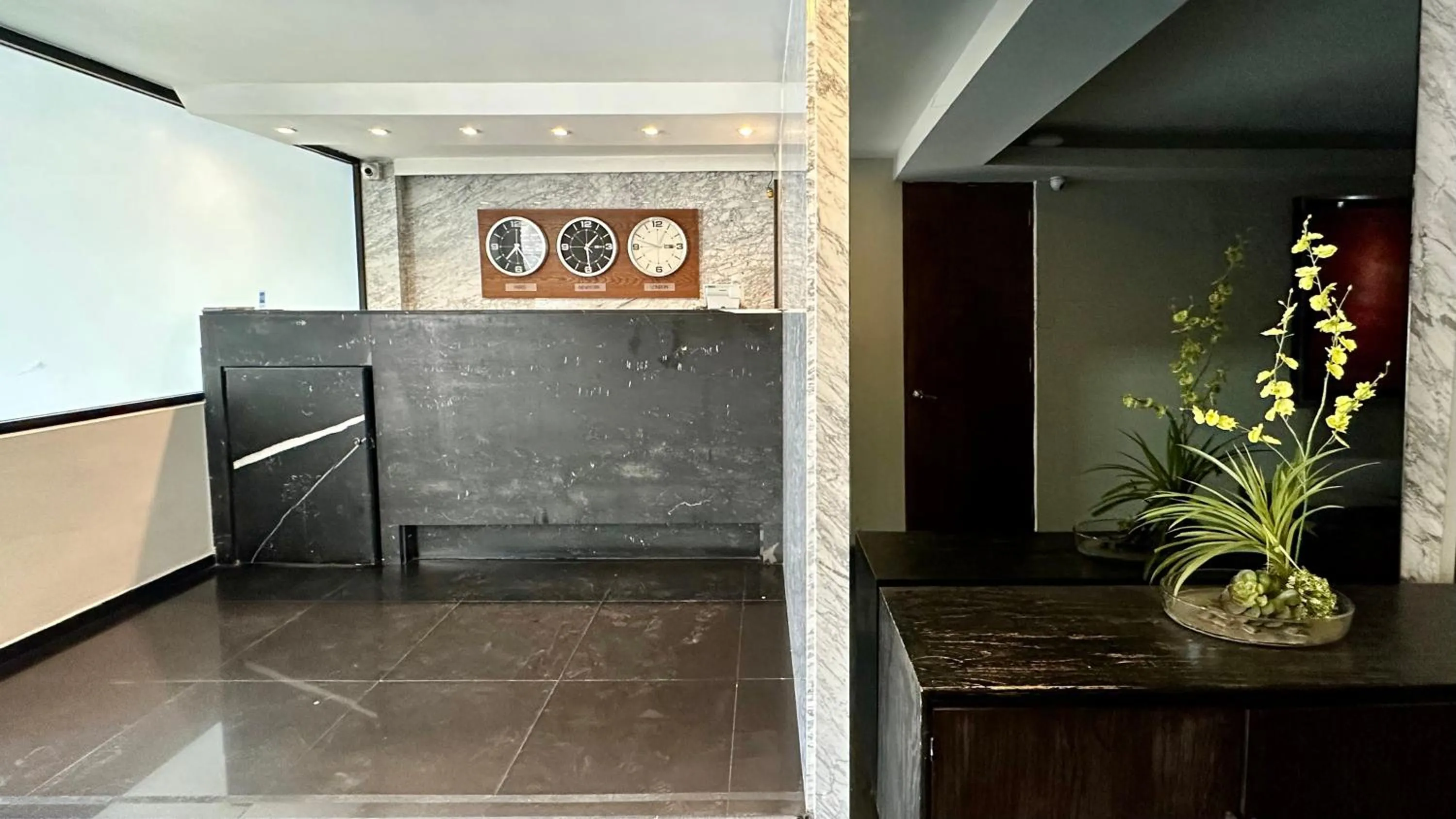 Lobby or reception in Suites Lerma 205