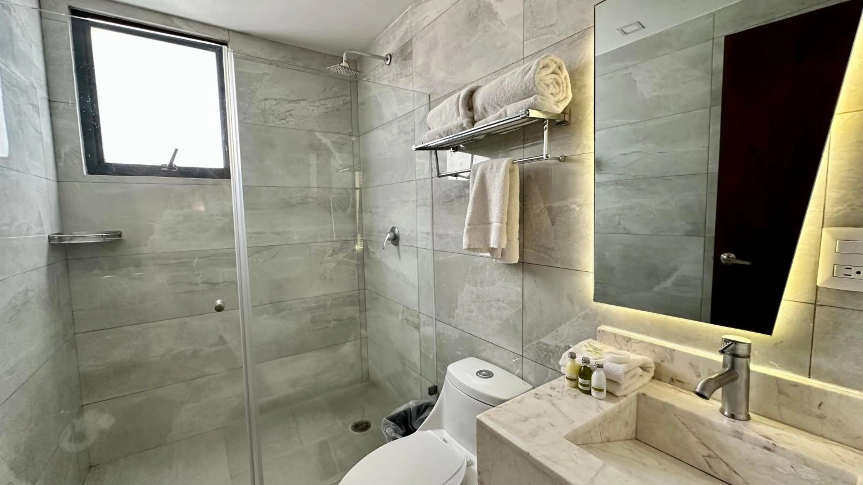 Shower in Suites Lerma 205