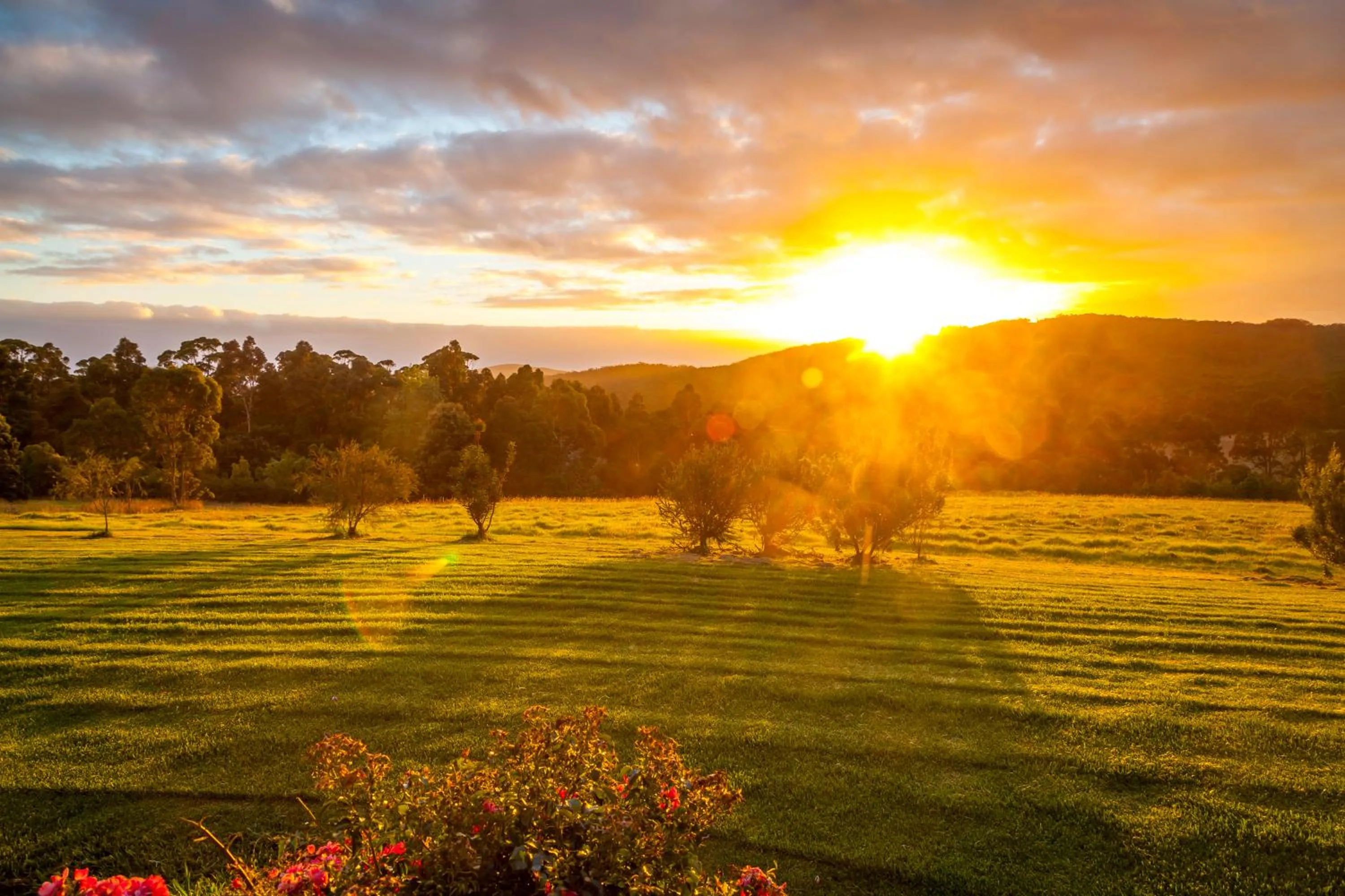 Mountain view in Denmark Scenic Tourist Park