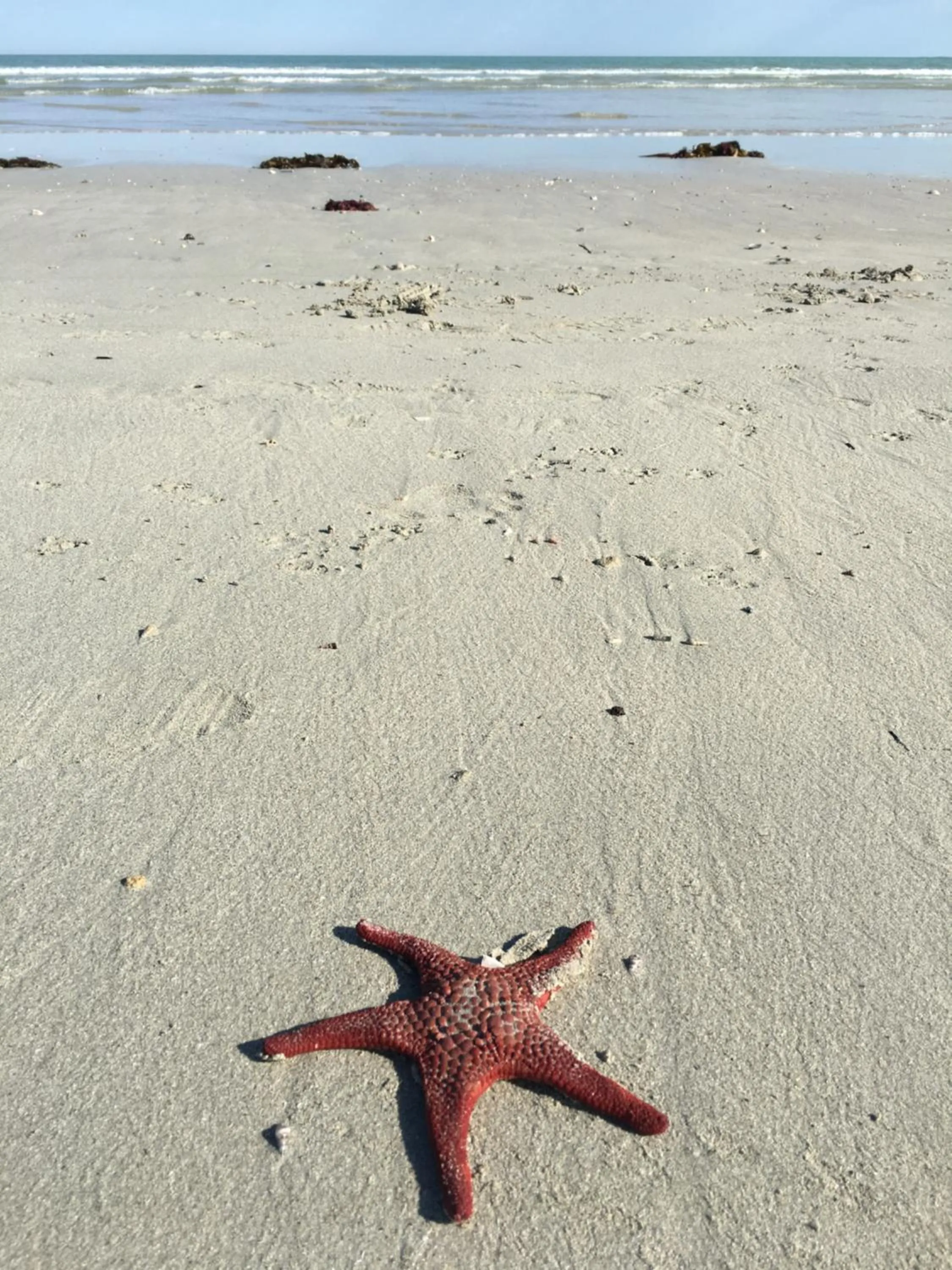 Beach in Caledonian Inn