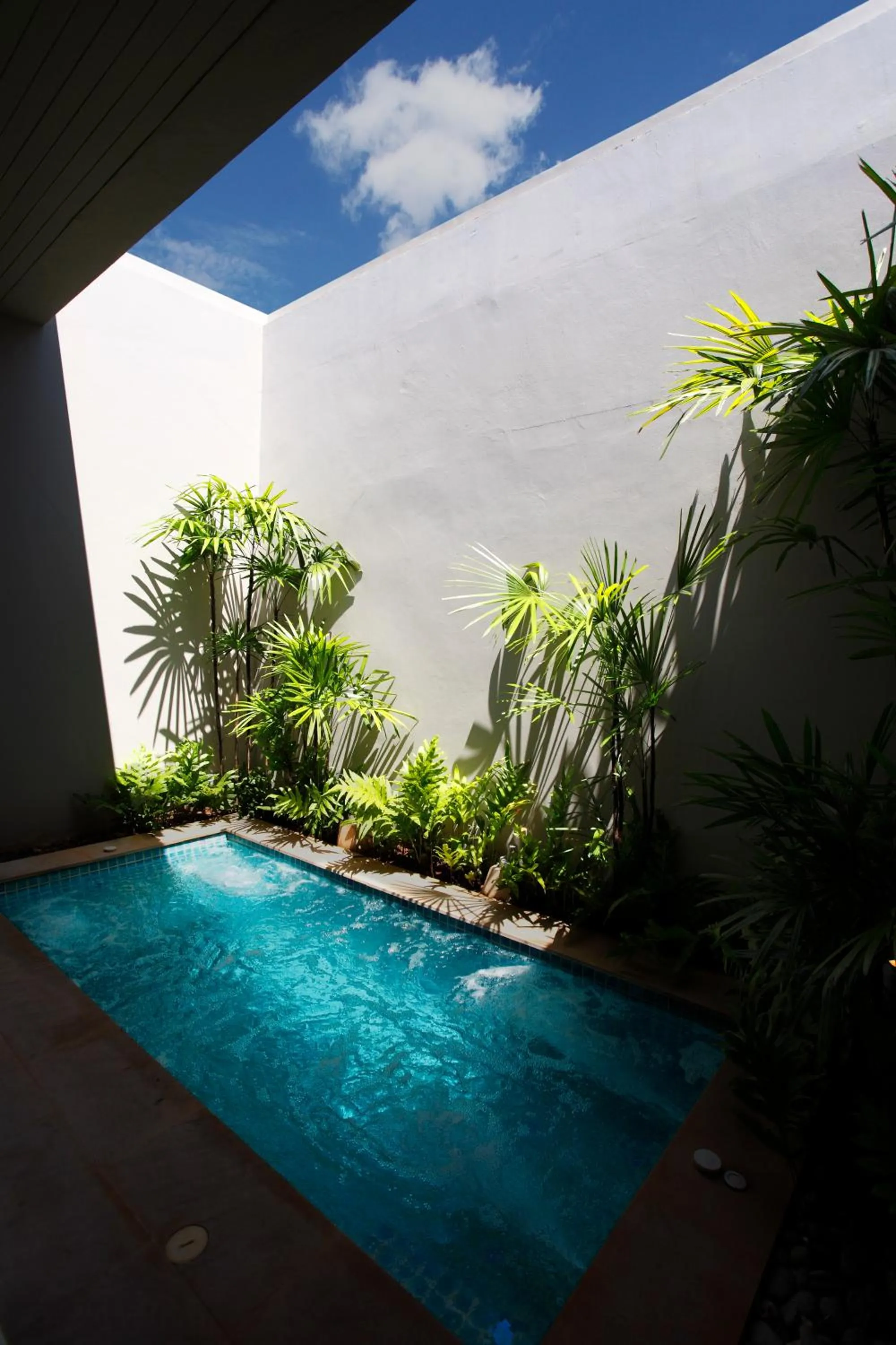 Day in Art Space Pool Villa