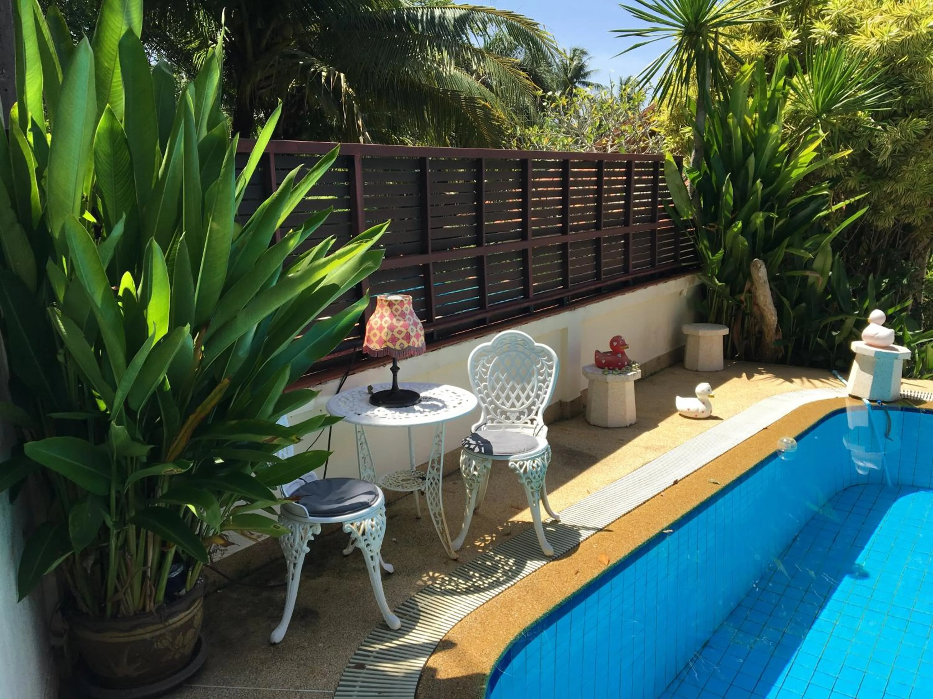  in Phuket Gay Homestay