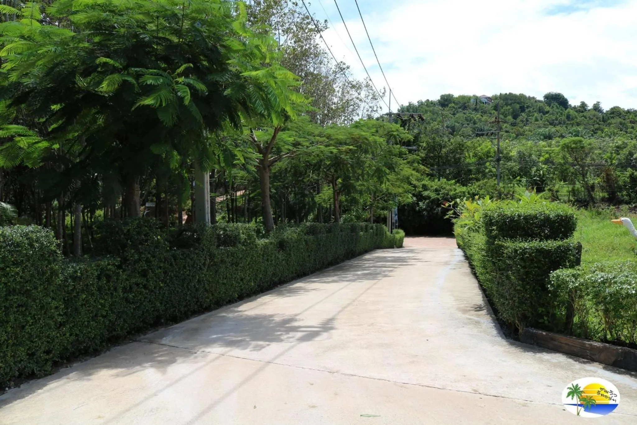 Natural landscape in Chomview Resort