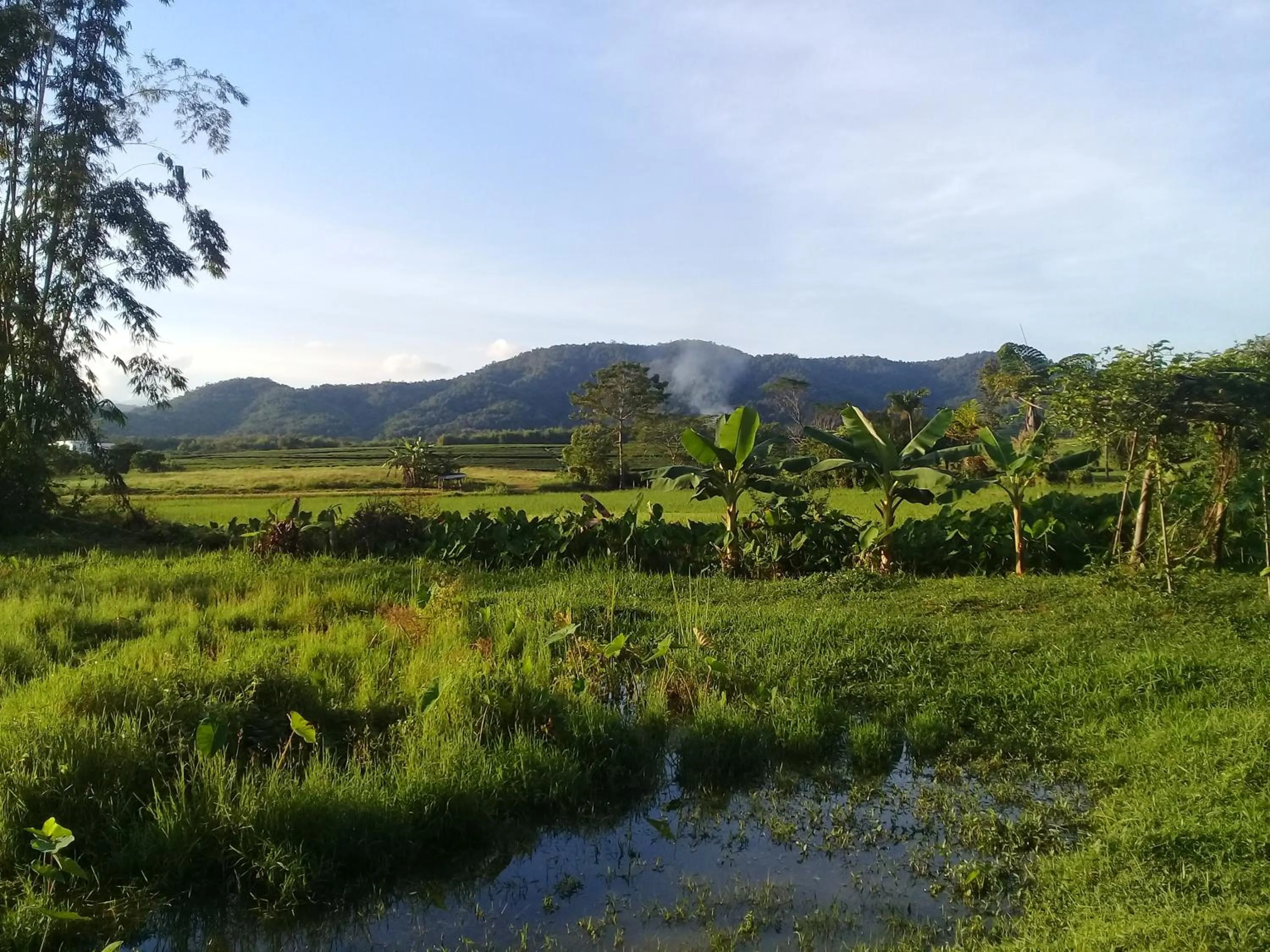 Baan Suan Jantra Home Stay