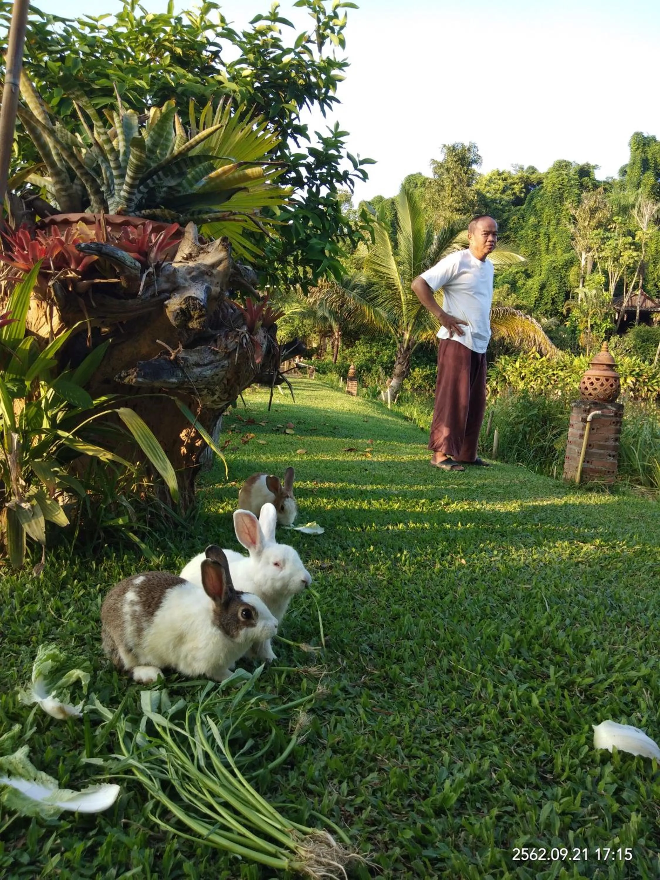 Baan Suan Jantra Home Stay