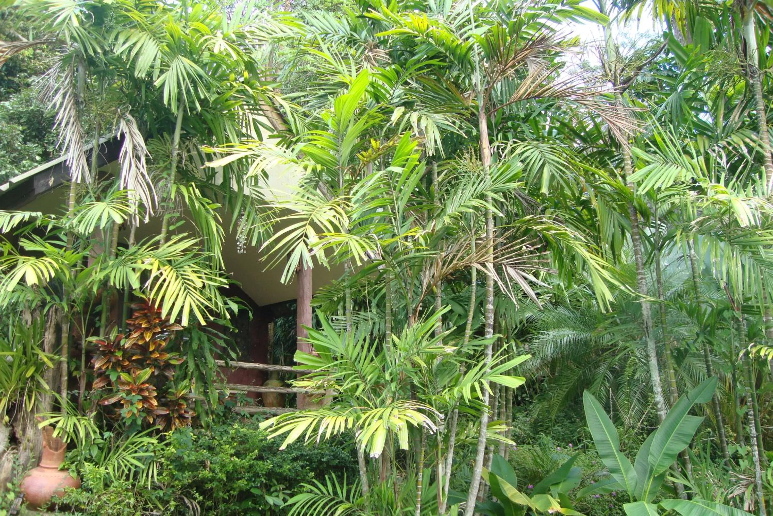 Photo of the whole room in Baan Suan Jantra Home Stay