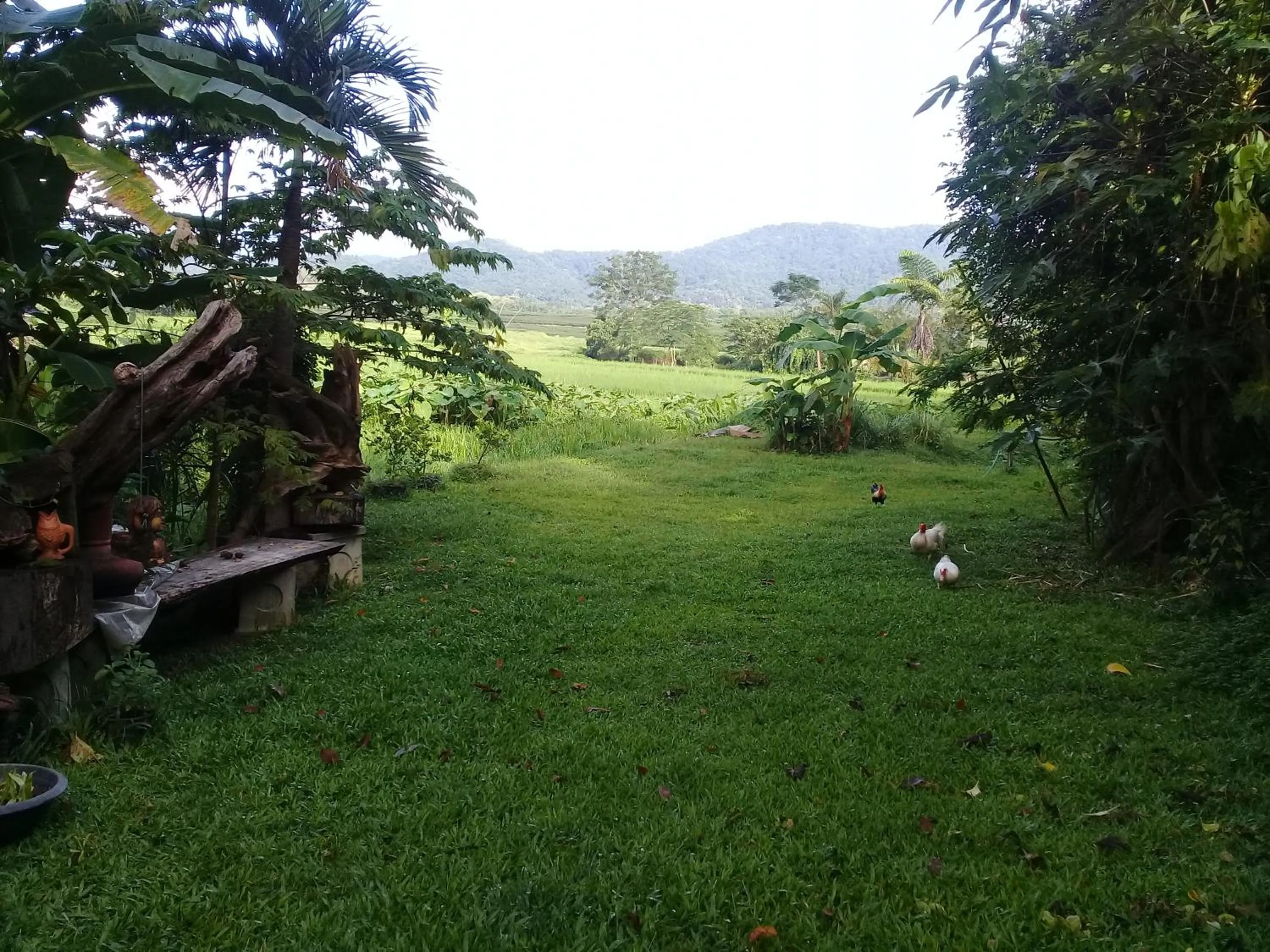 Baan Suan Jantra Home Stay