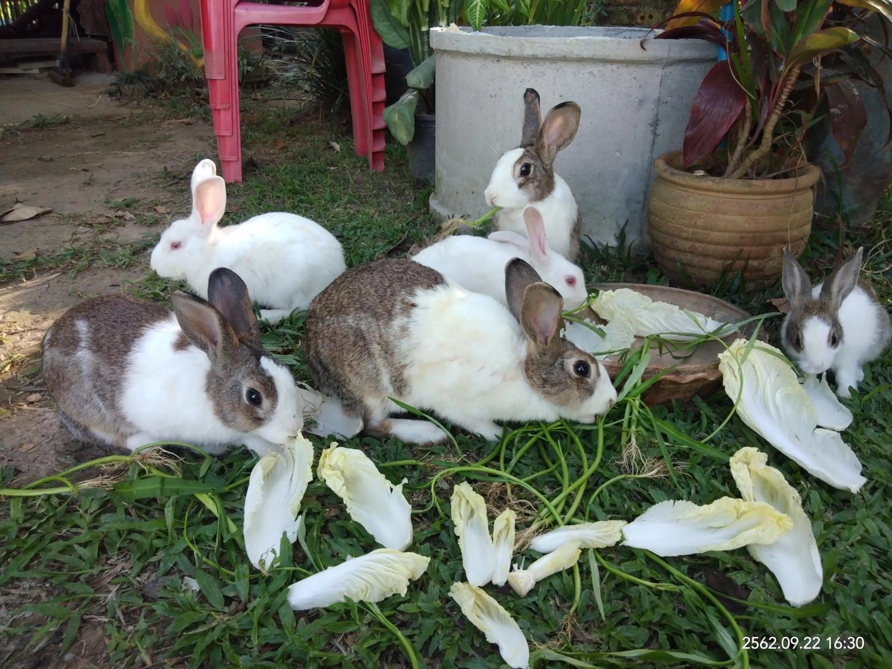 Baan Suan Jantra Home Stay