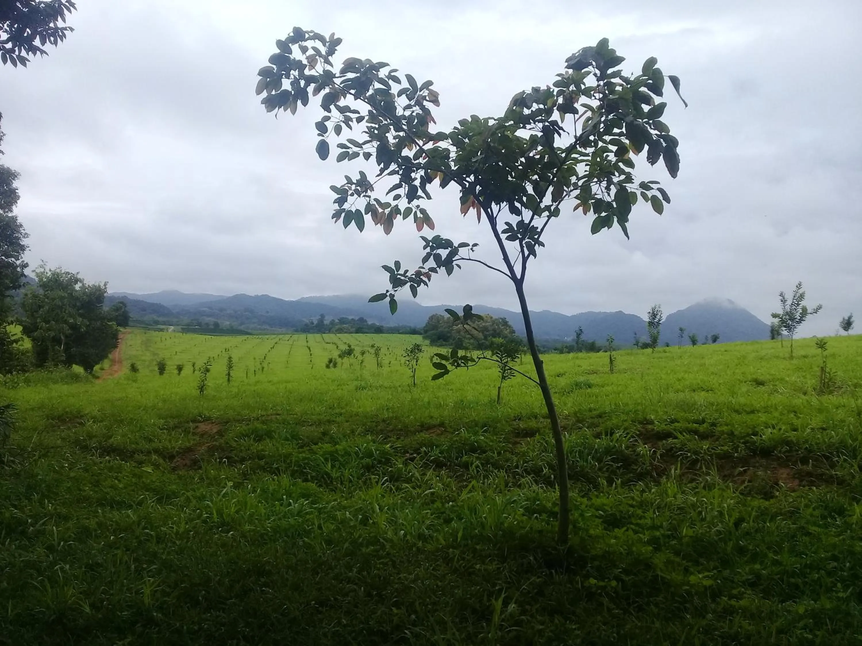 Baan Suan Jantra Home Stay