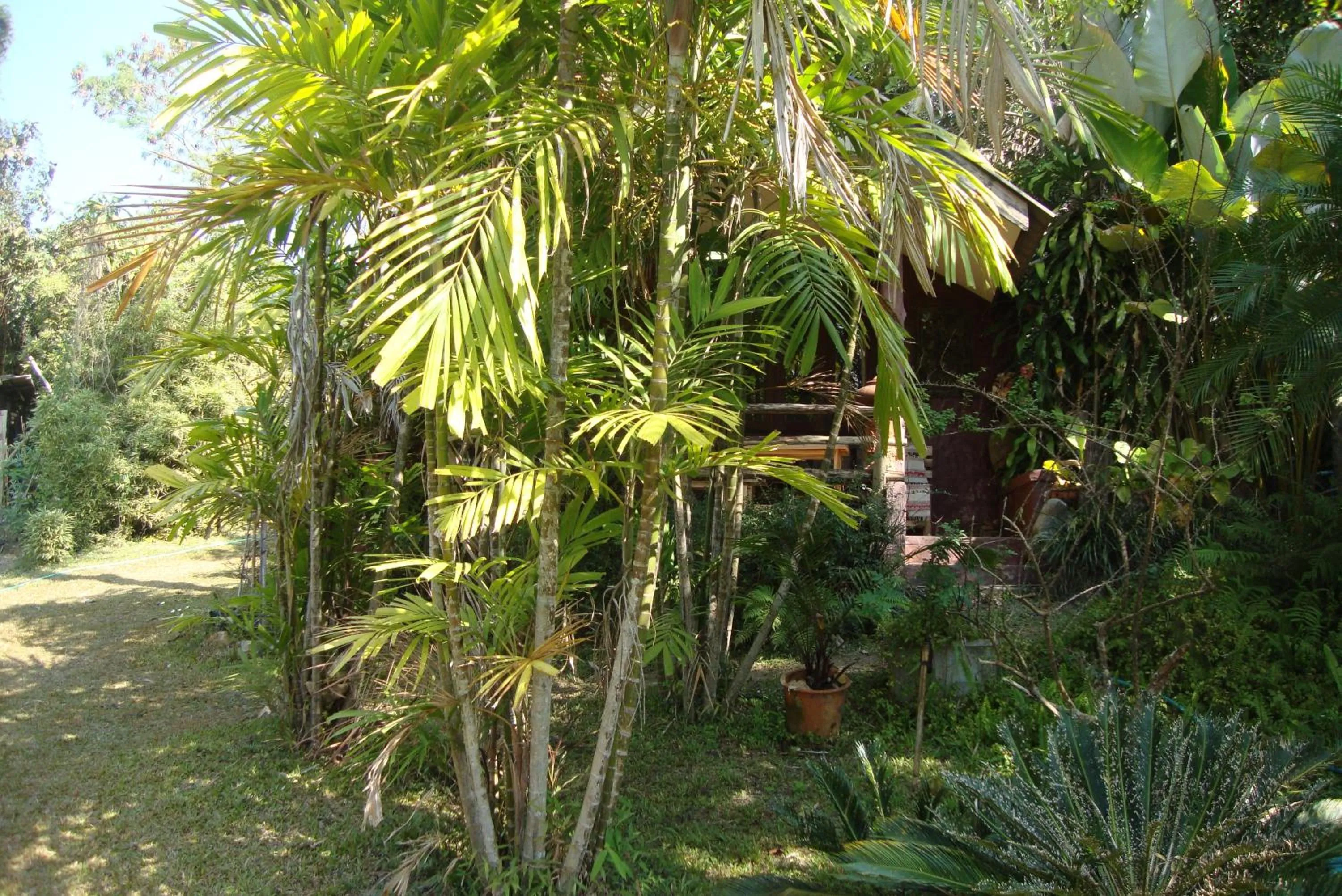 Photo of the whole room in Baan Suan Jantra Home Stay