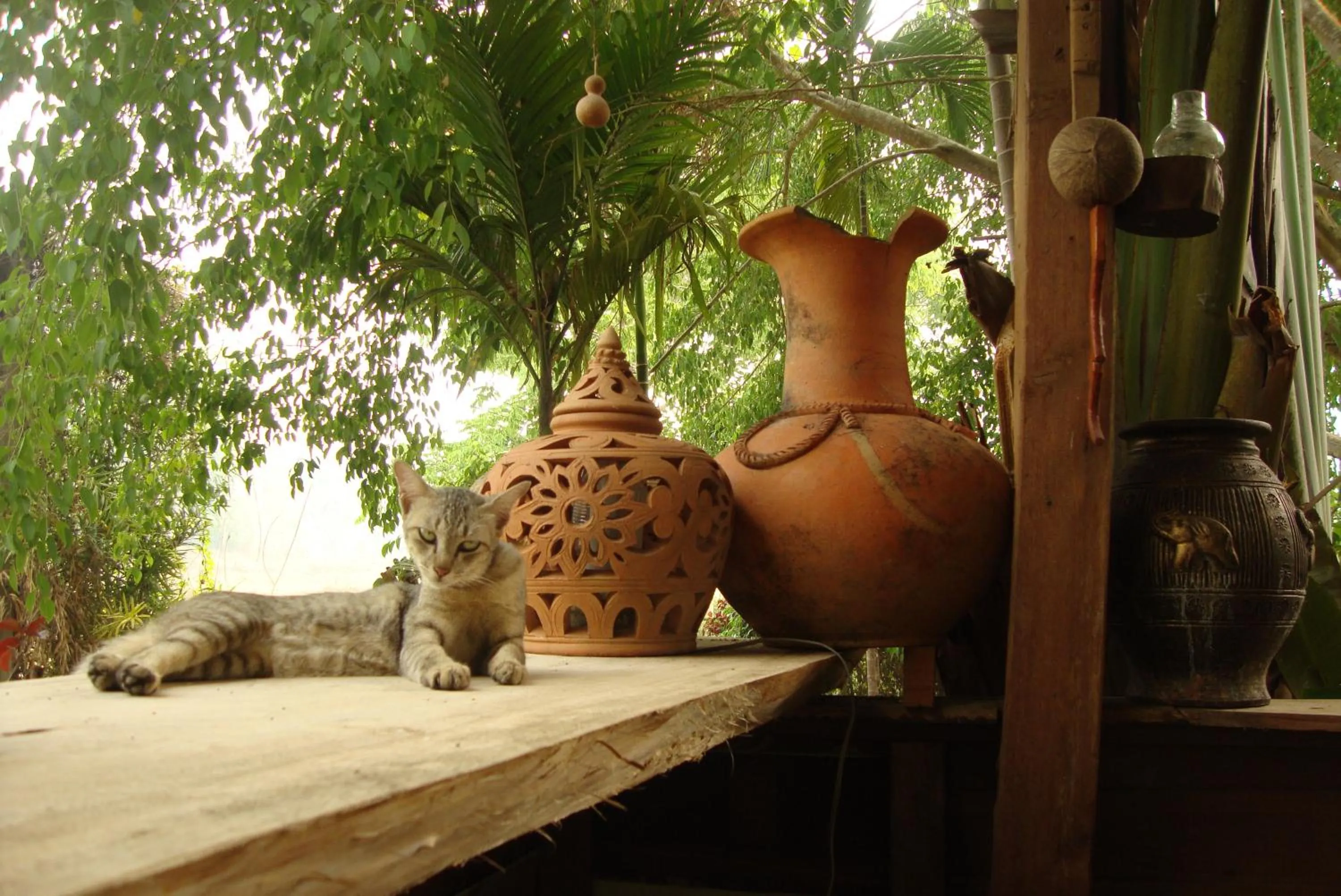 Library in Baan Suan Jantra Home Stay