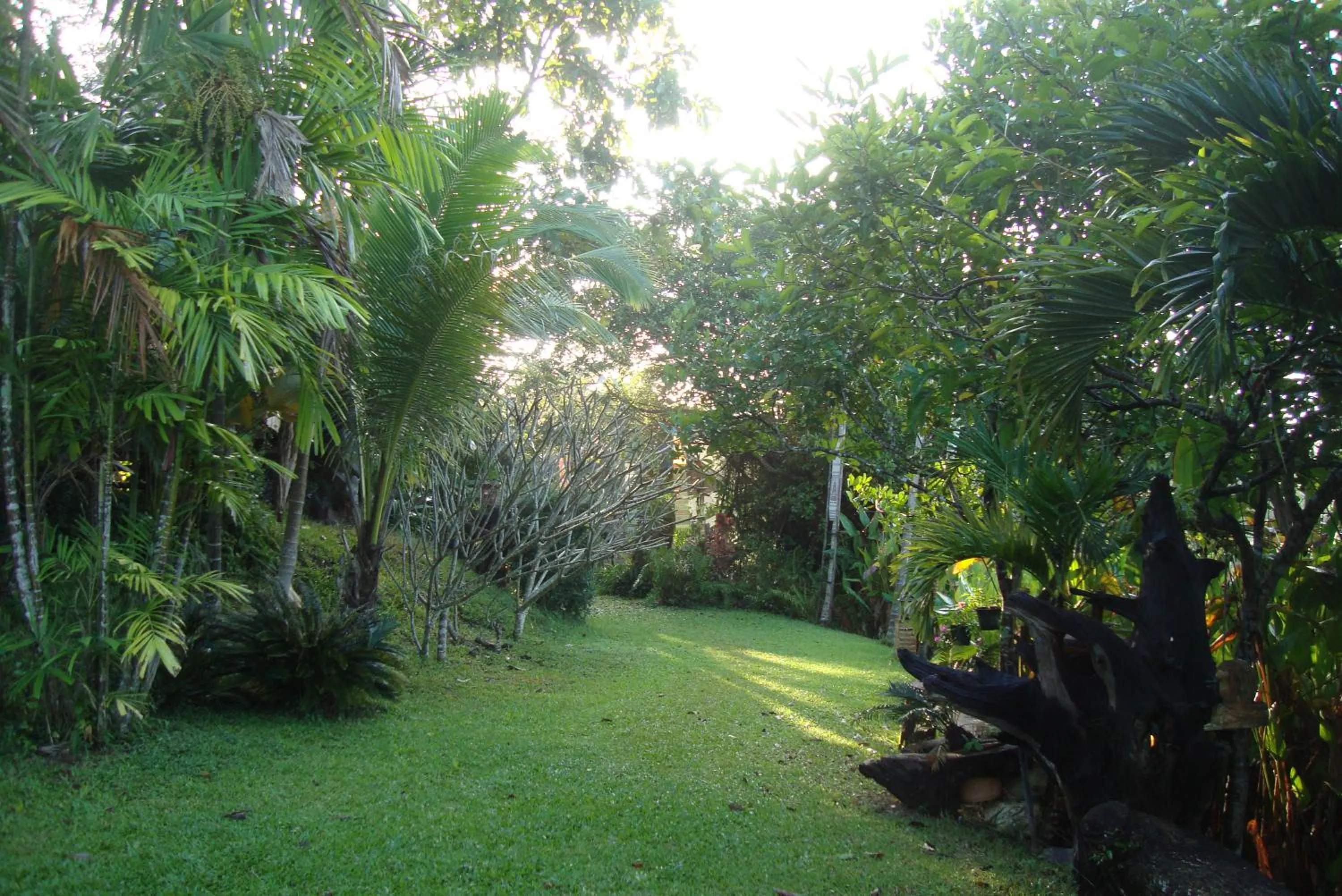 Garden in Baan Suan Jantra Home Stay