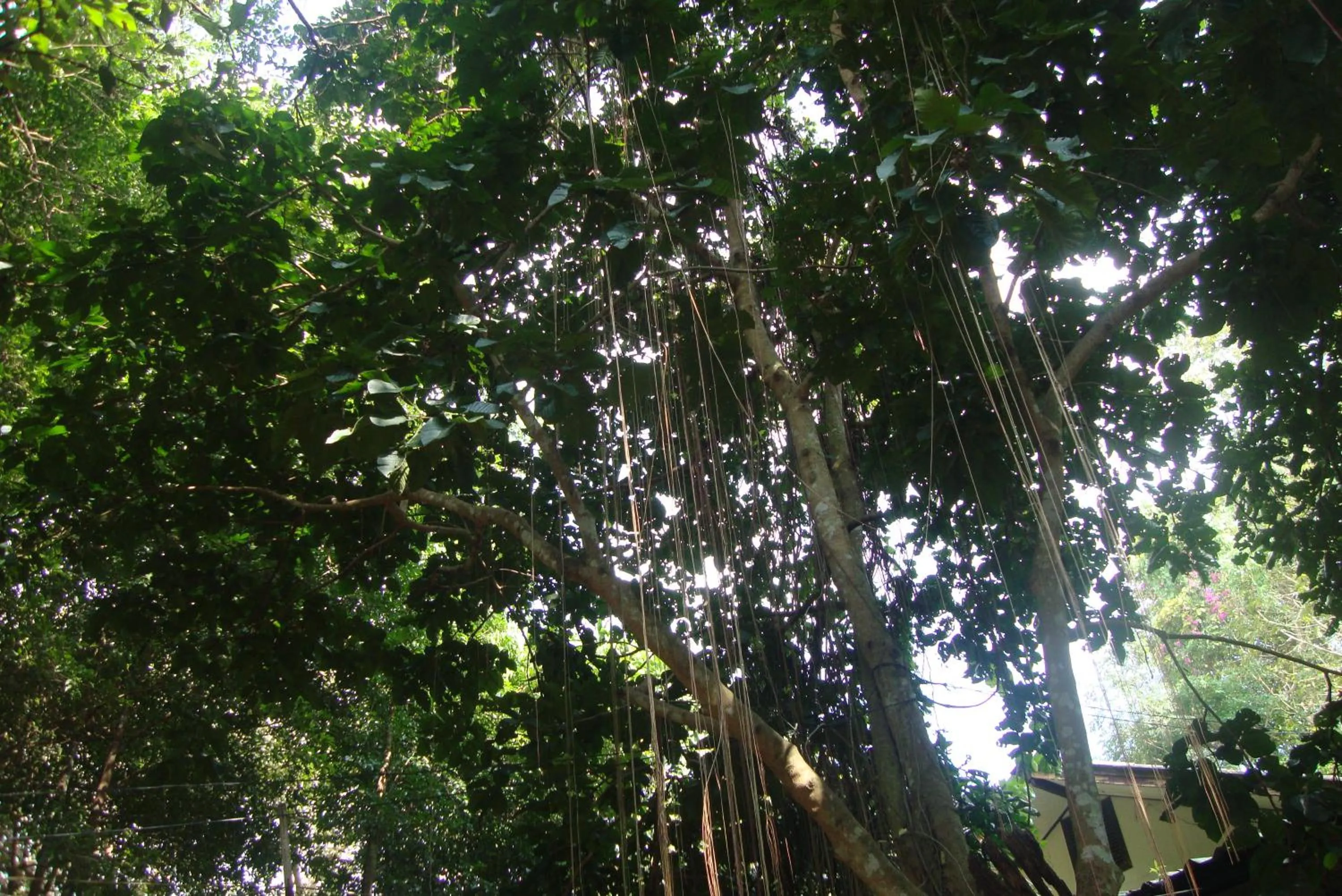 Other in Baan Suan Jantra Home Stay