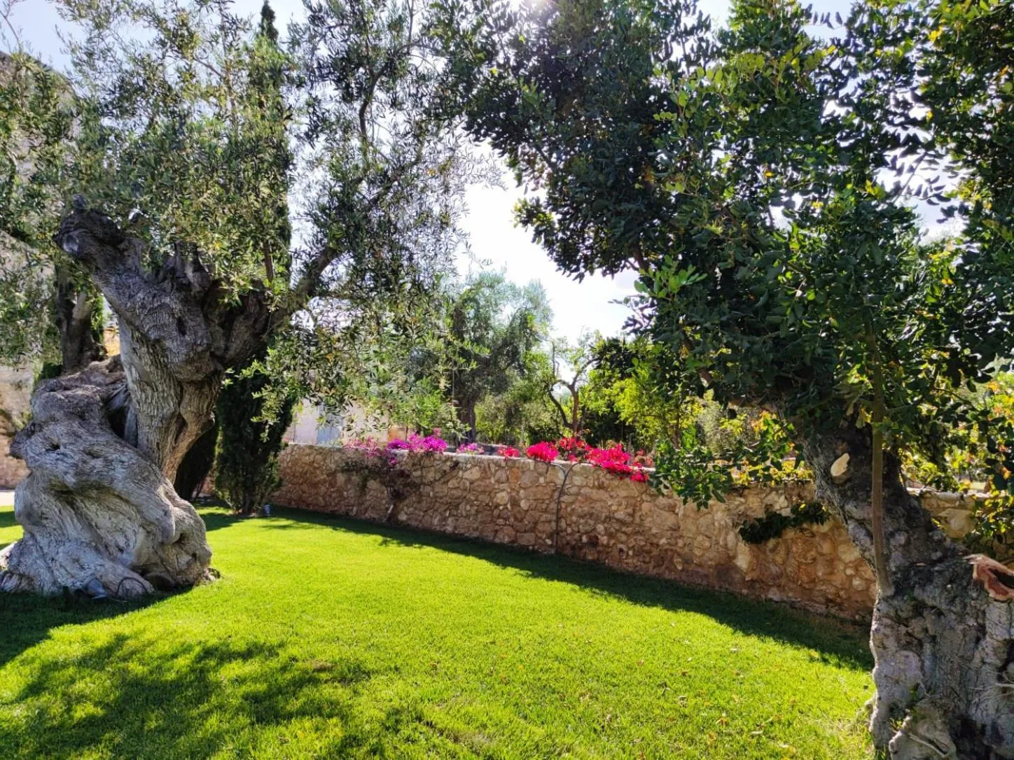 Garden in Hotel Torre Santamaria Resort