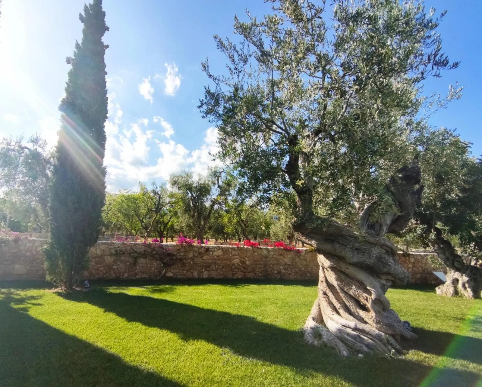 Garden in Hotel Torre Santamaria Resort