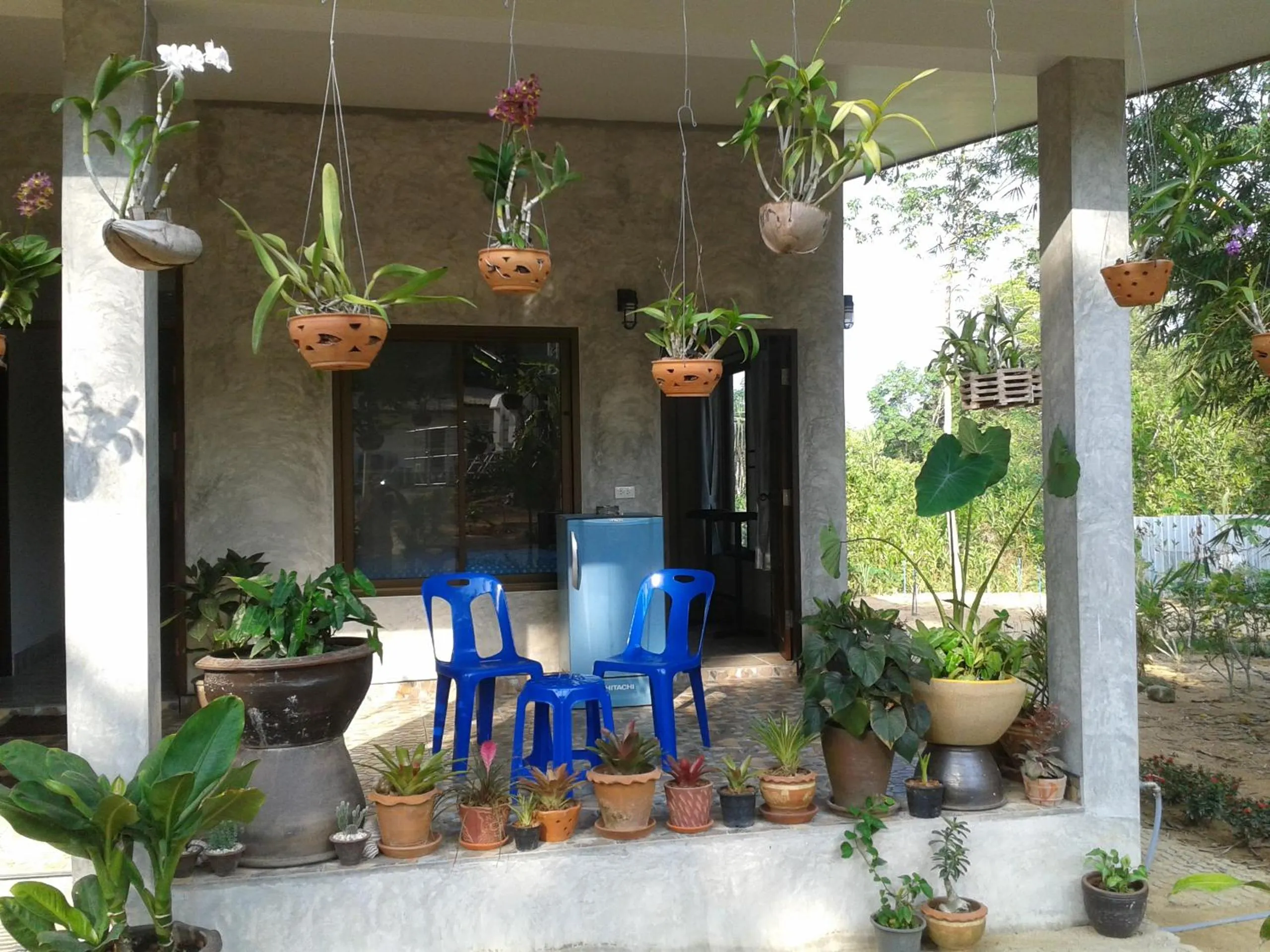 Photo of the whole room in Nananuira Apartment and Room