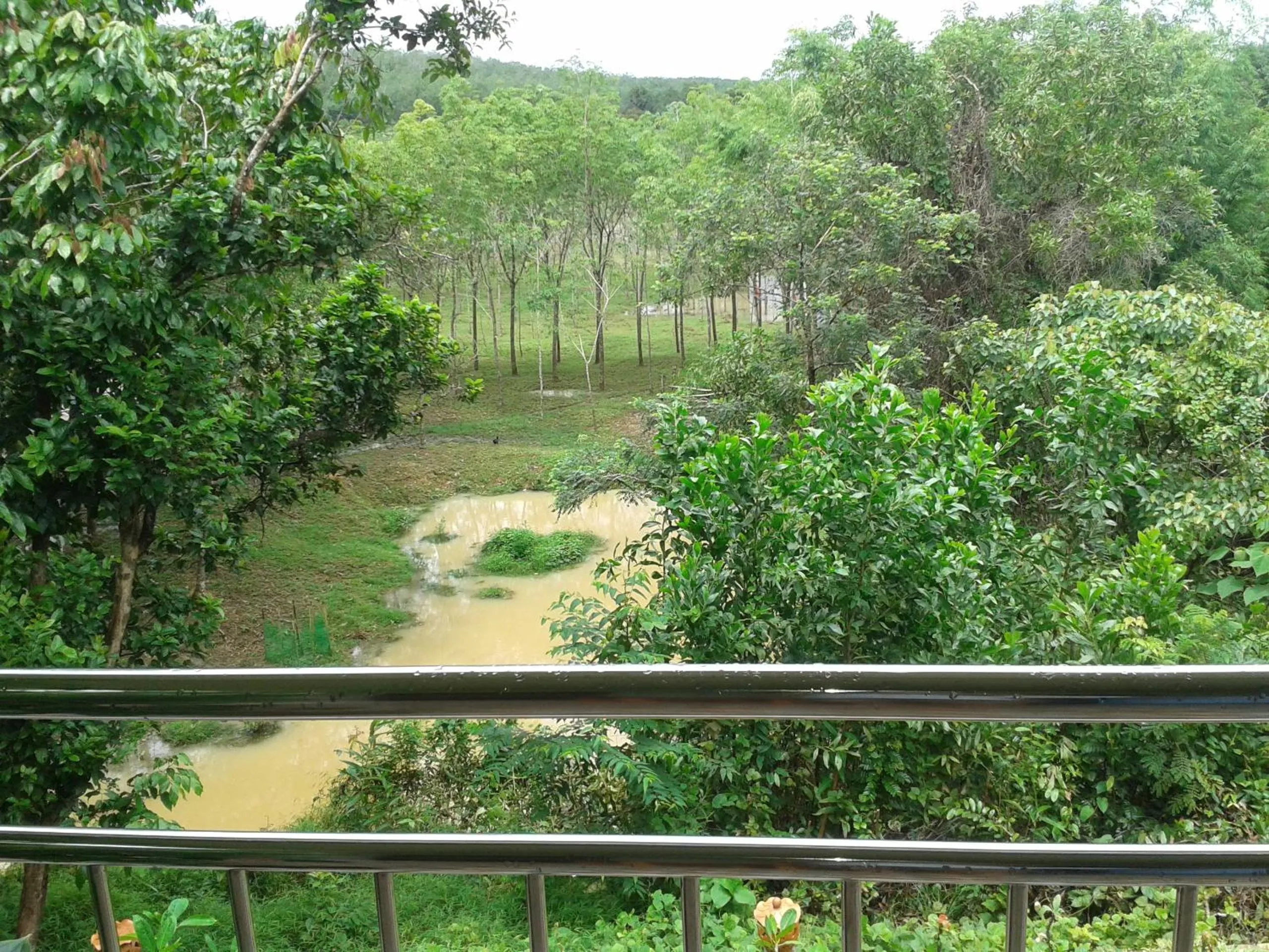 View (from property/room) in Nananuira Apartment and Room