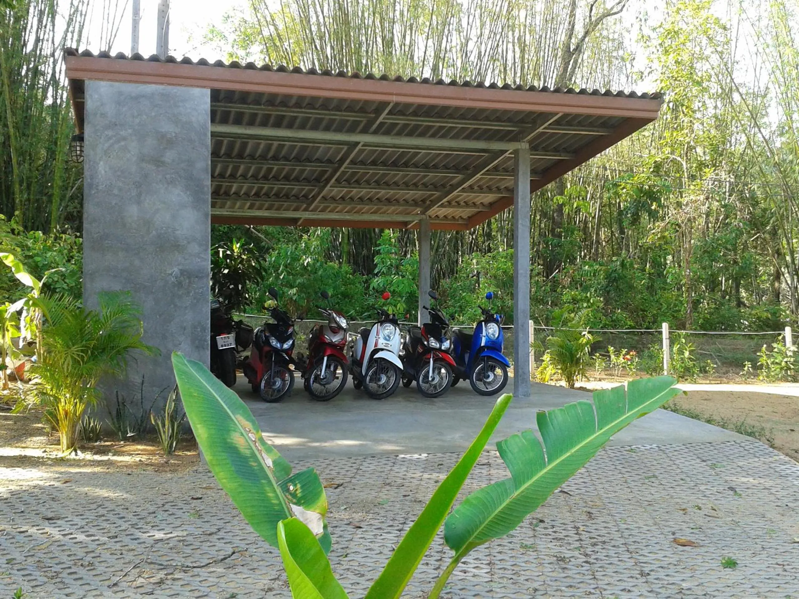 Area and facilities in Nananuira Apartment and Room