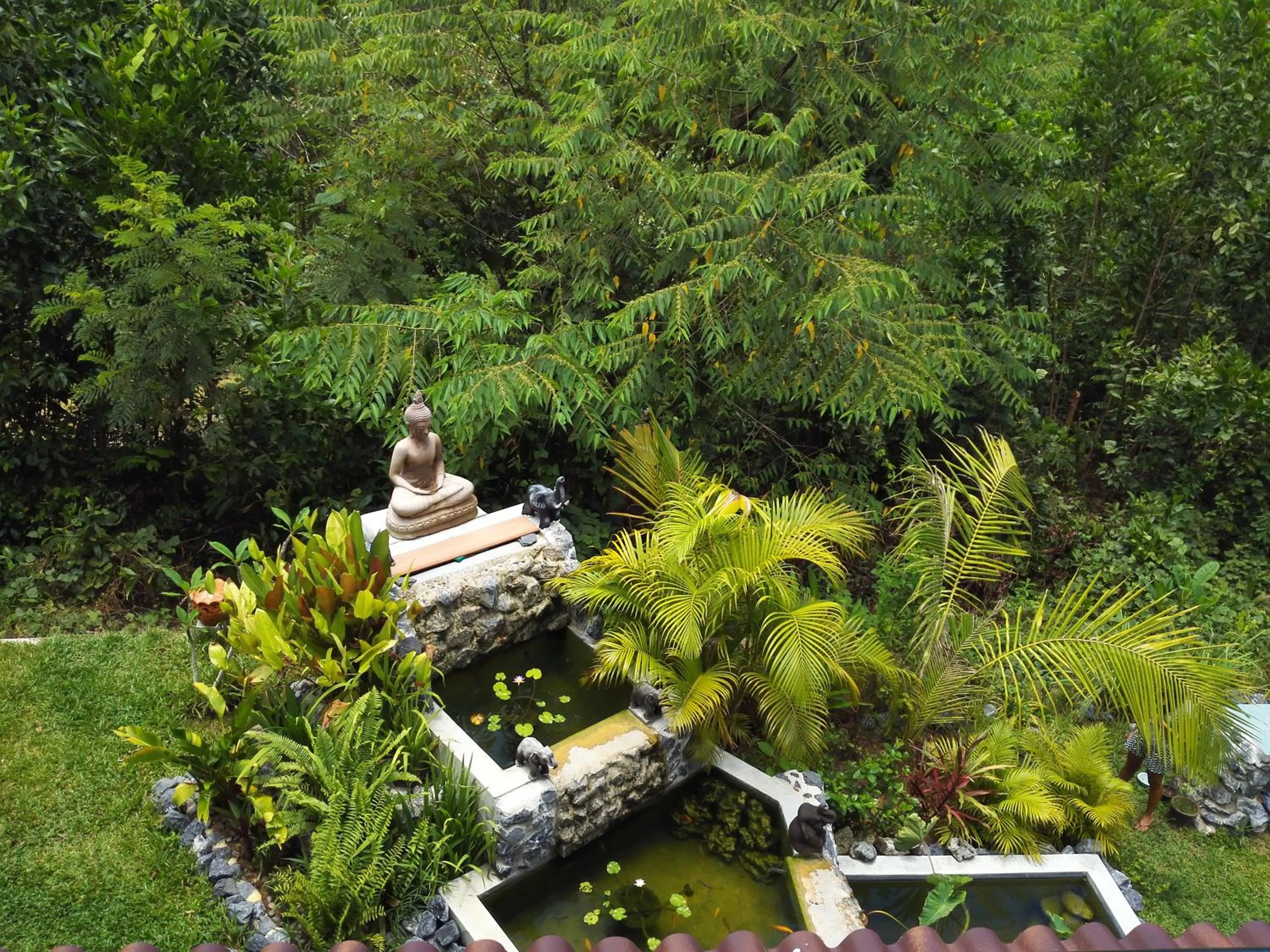 Garden in Nananuira Apartment and Room