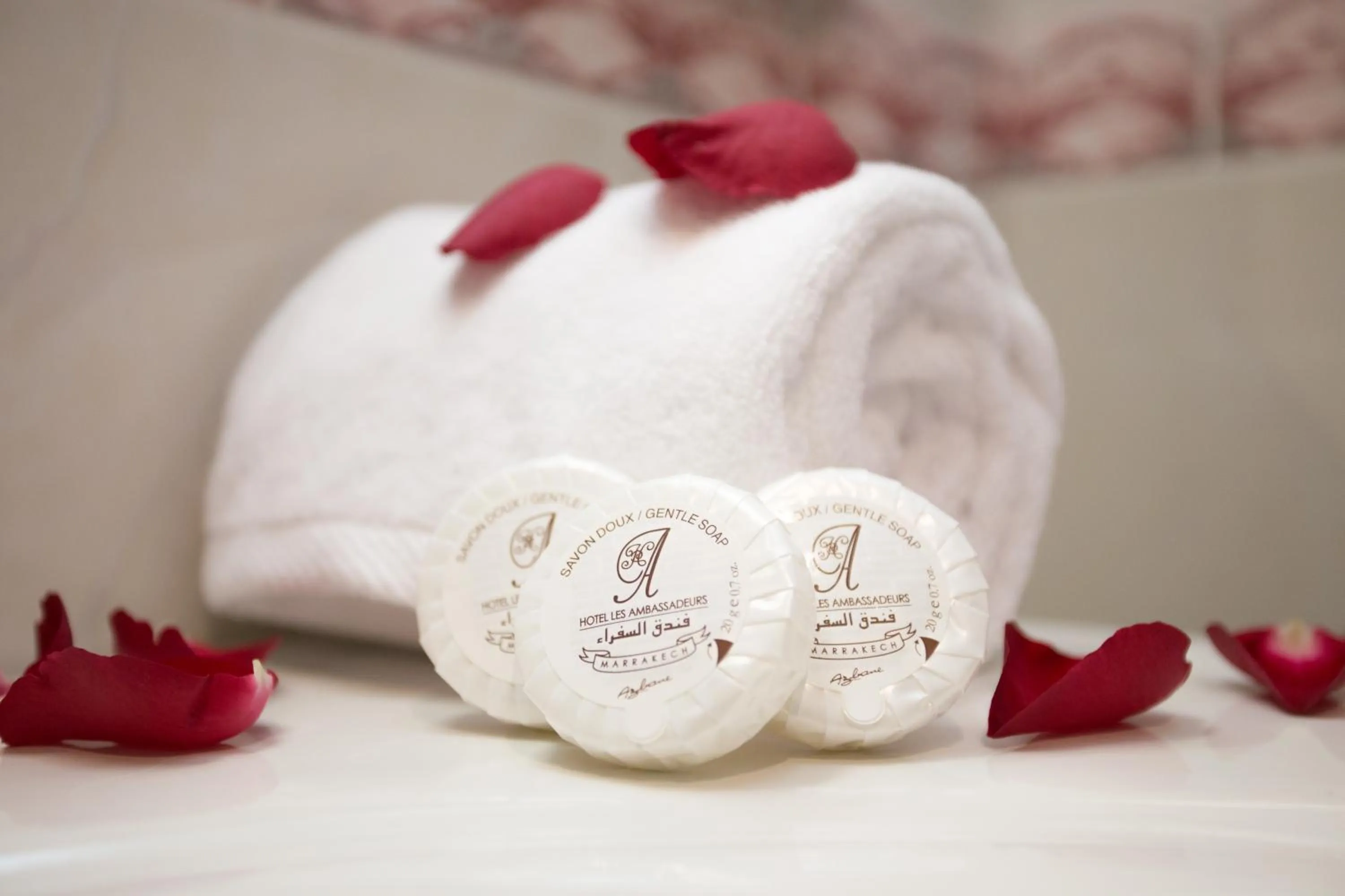 Area and facilities in Appart Hotel Les Ambassadeurs