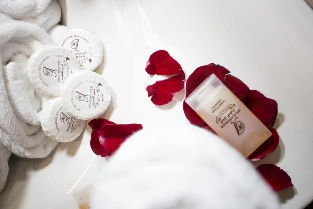 Appart Hotel Les Ambassadeurs