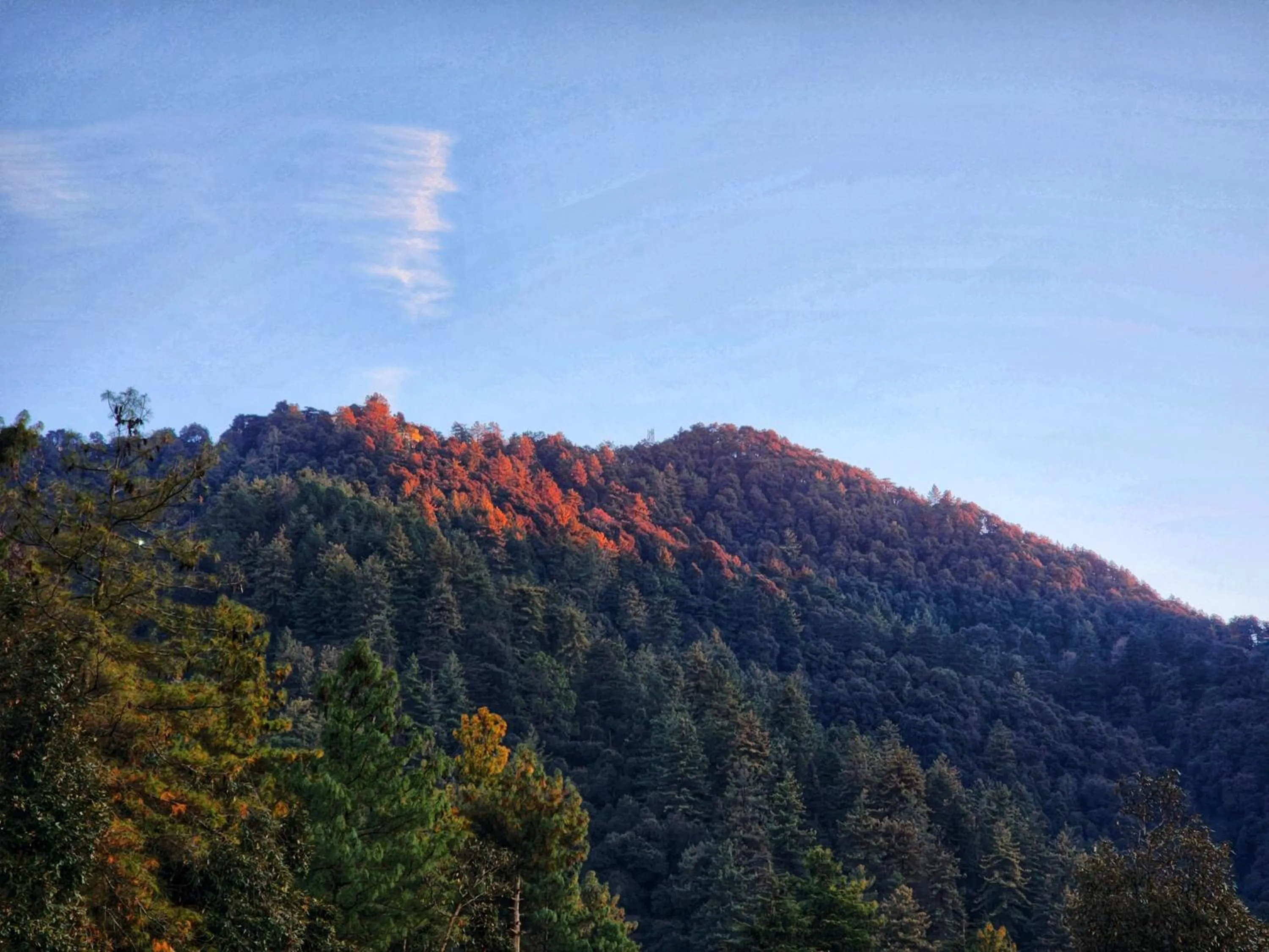 KAMNA HILL RESORT a Boutique cottages