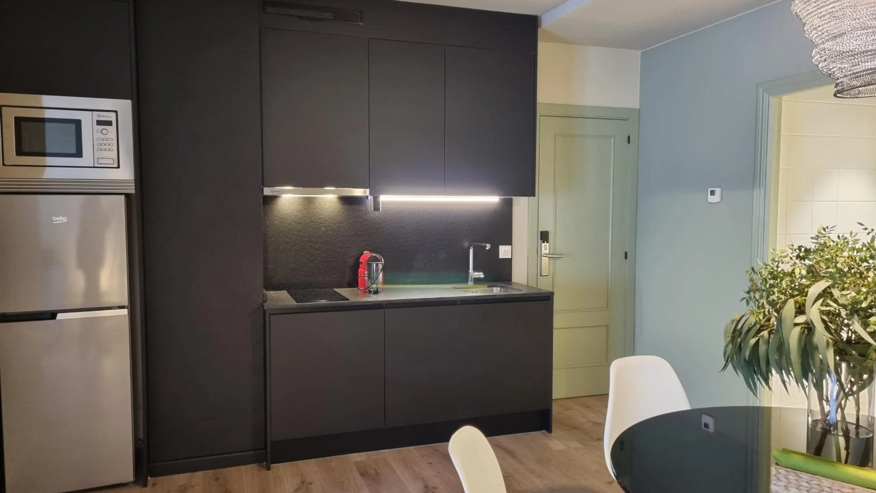 Kitchen or kitchenette in Apartamentos LCR Boutique, LCR Suites y LCR Los Valles