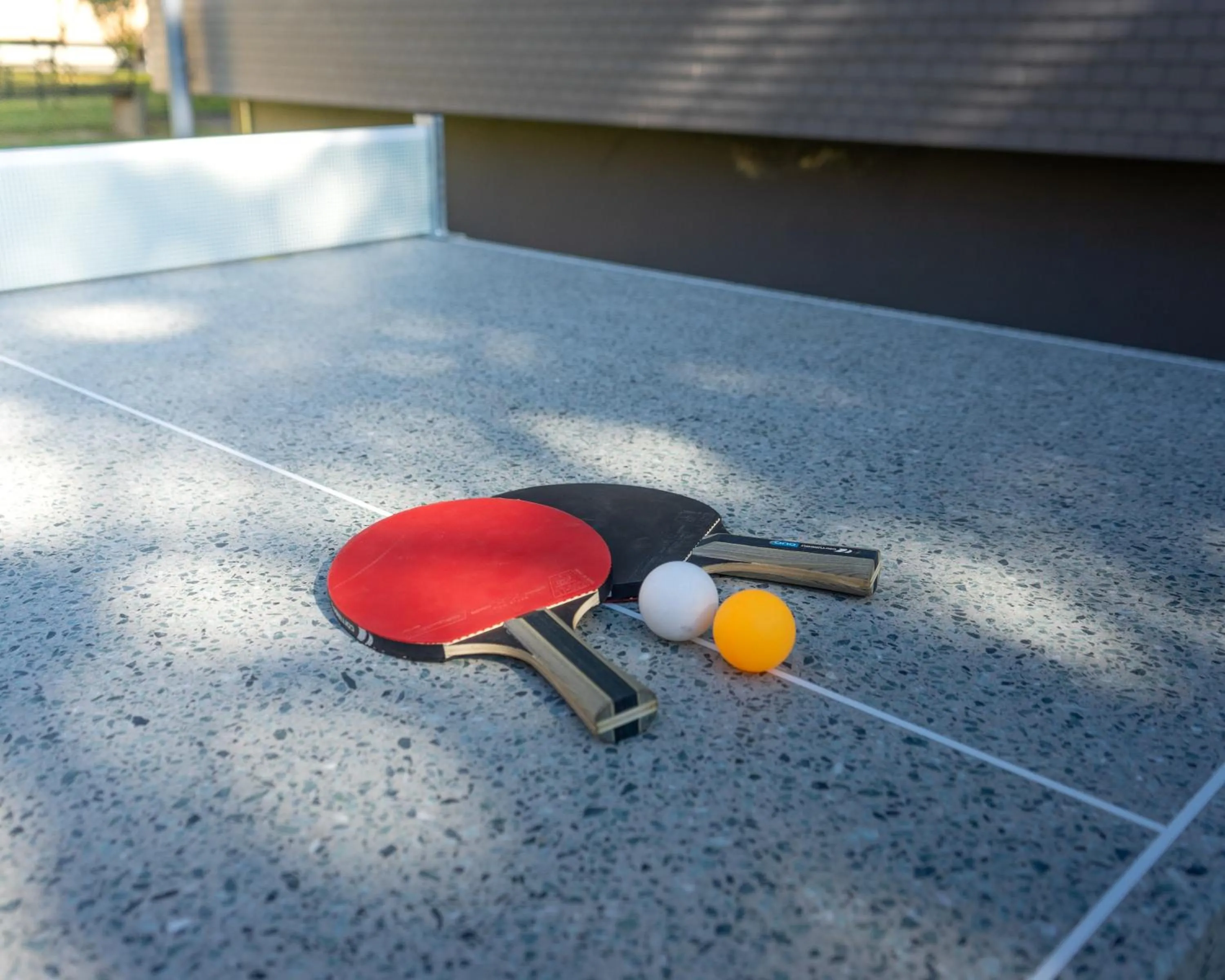 Garden in Nyon Hostel