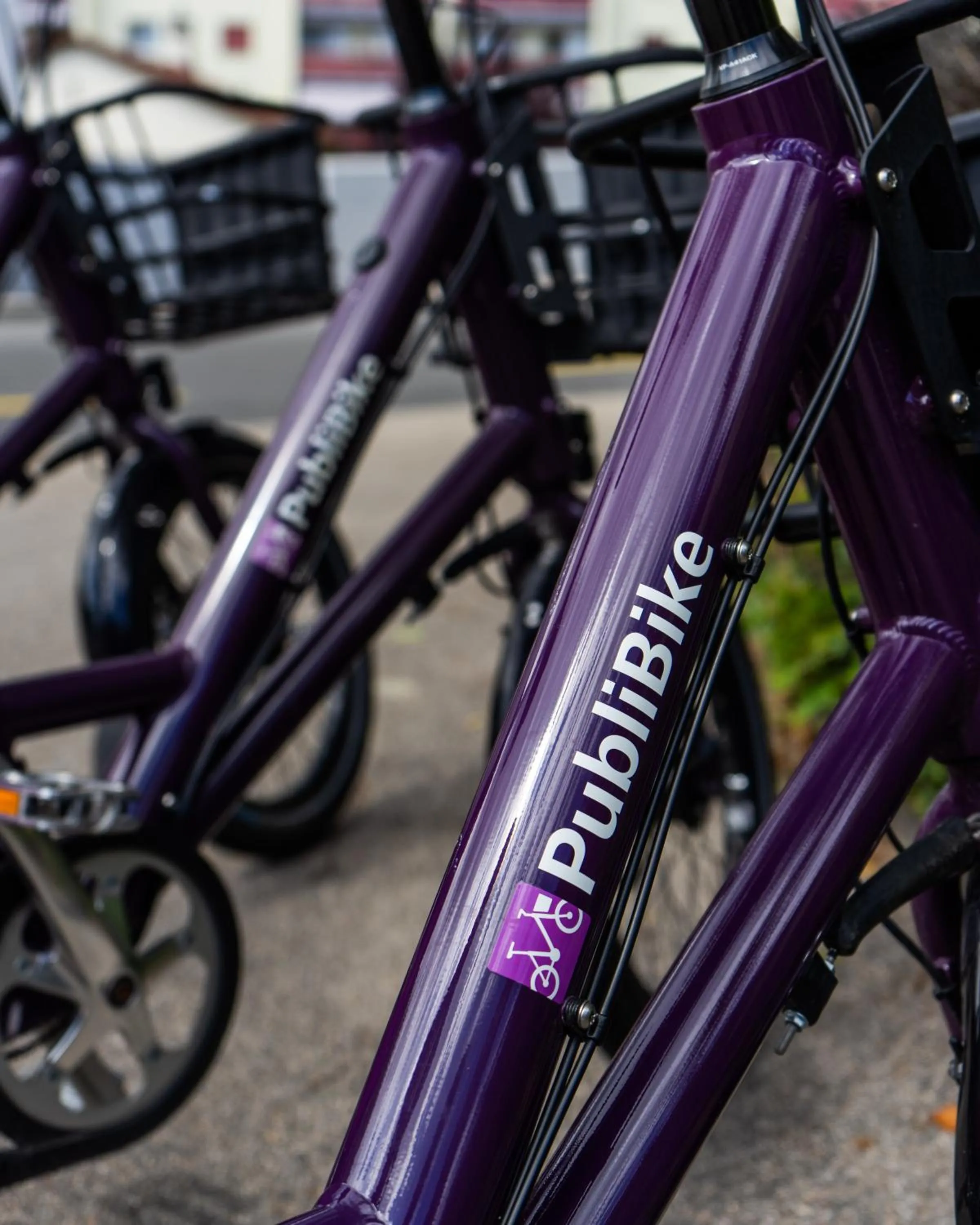 Sports in Nyon Hostel