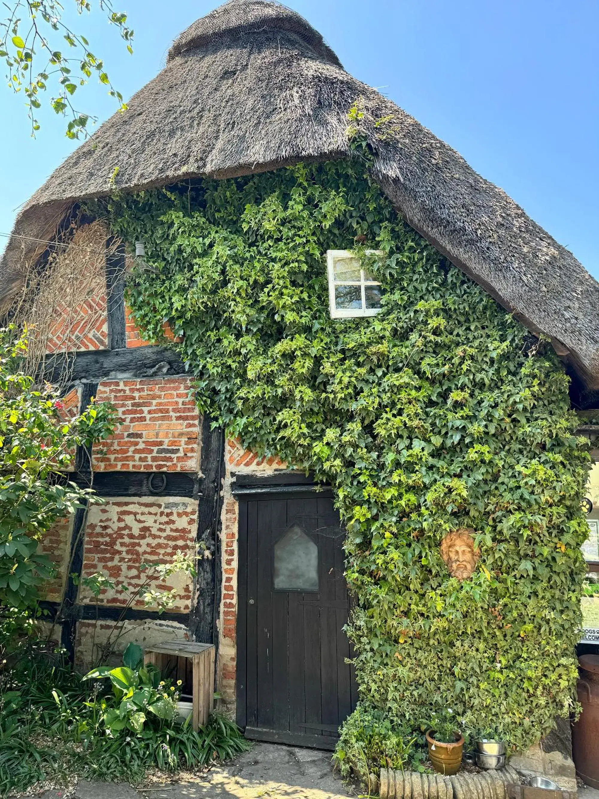 Thatched Cottage Hotel Thatched Cottage Hotel
