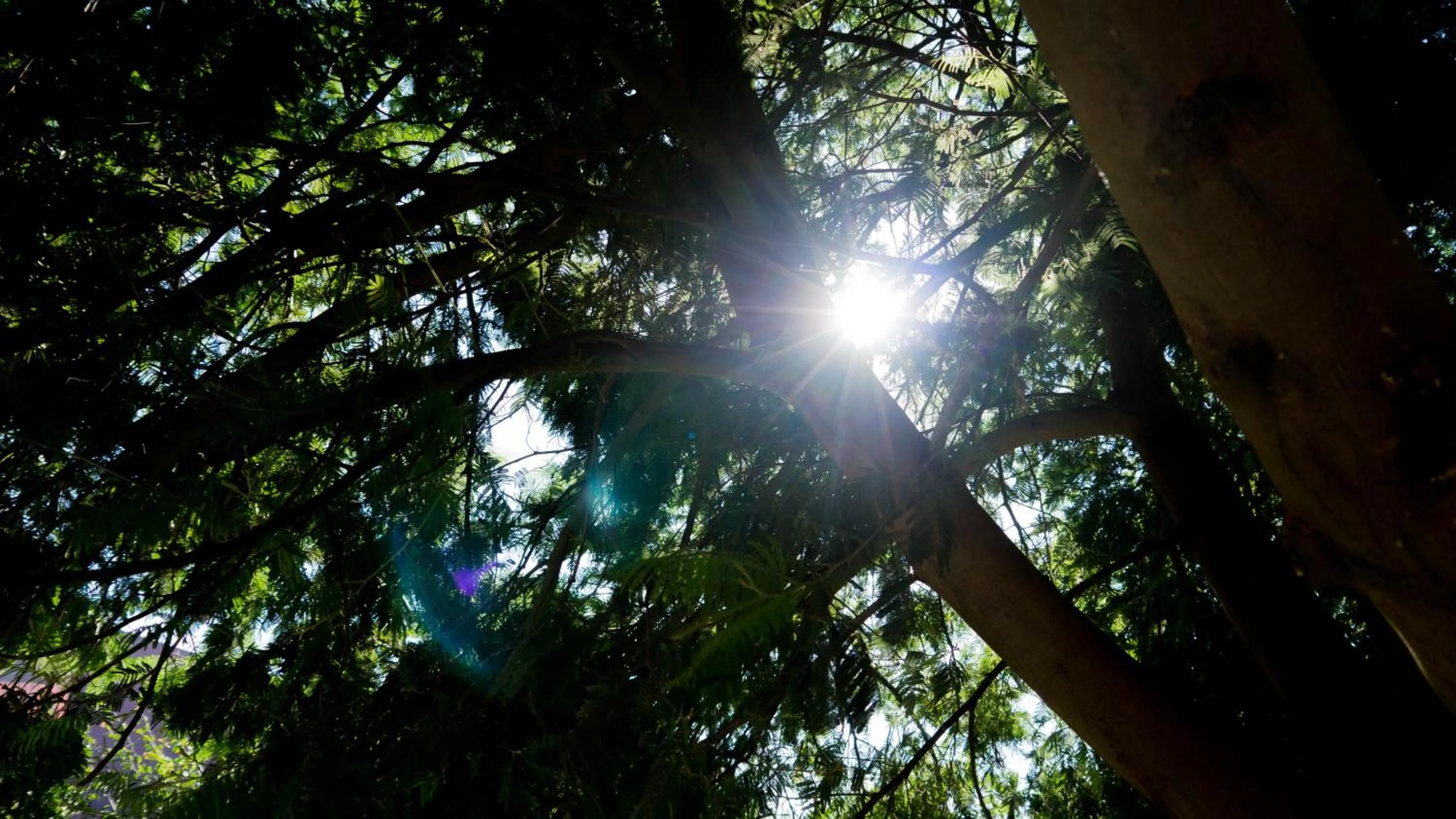 Property building in Casa d´Edite